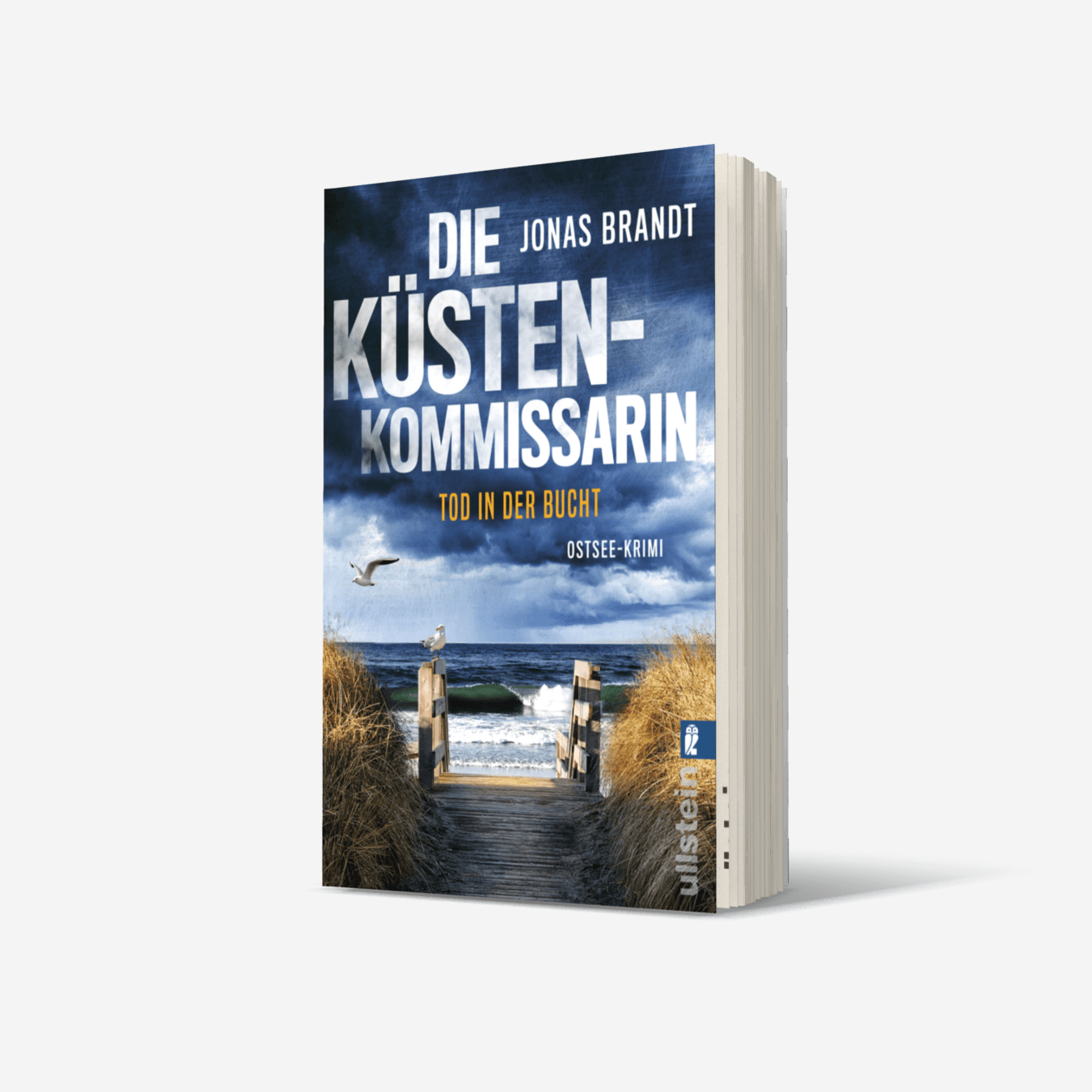 Buchcover von Die Küstenkommissarin – Tod in der Bucht (Frida Beck ermittelt 2)