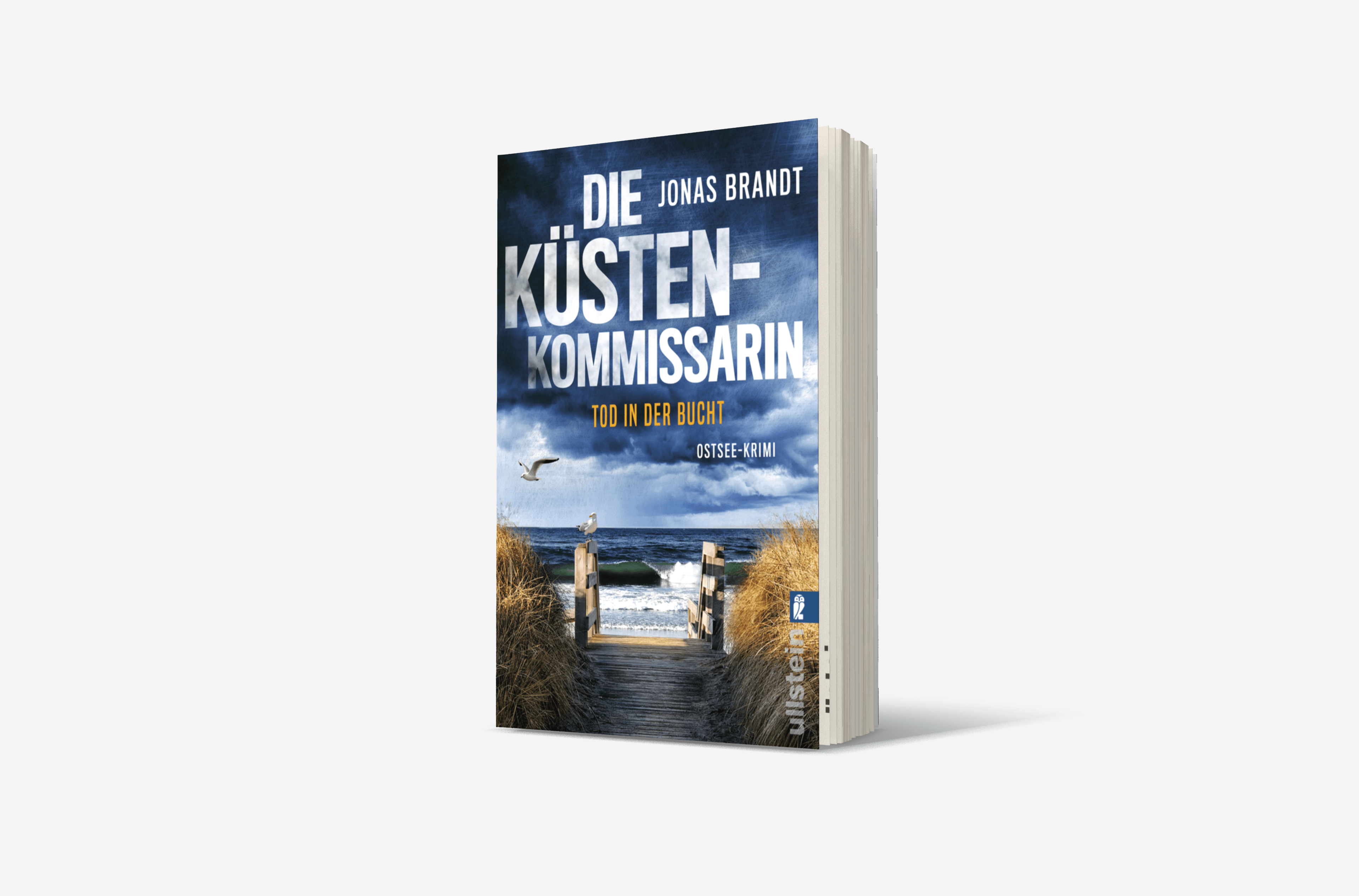 Buchcover von Die Küstenkommissarin – Tod in der Bucht (Frida Beck ermittelt 2)