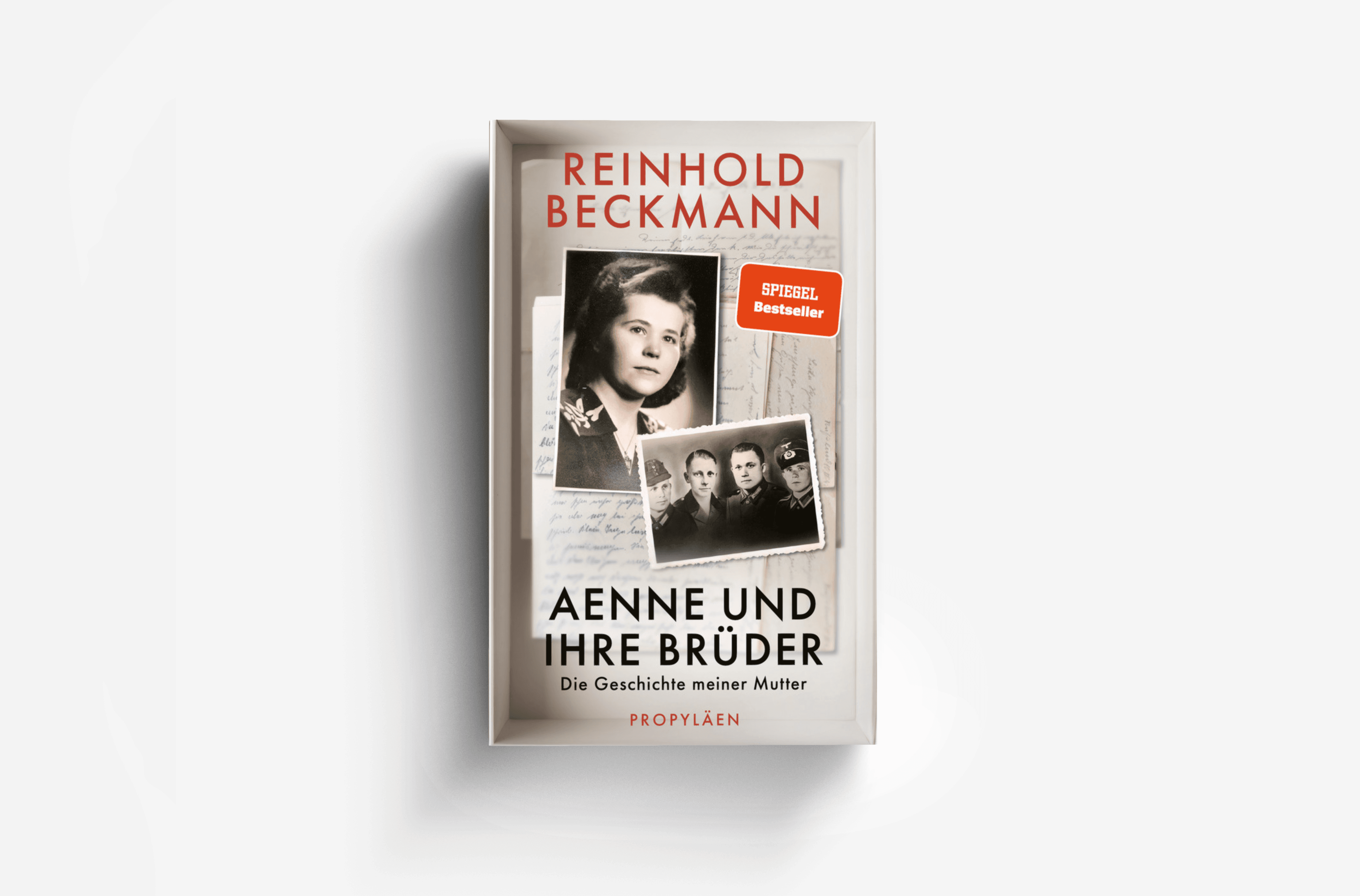 Buchcover von Aenne und ihre Brüder