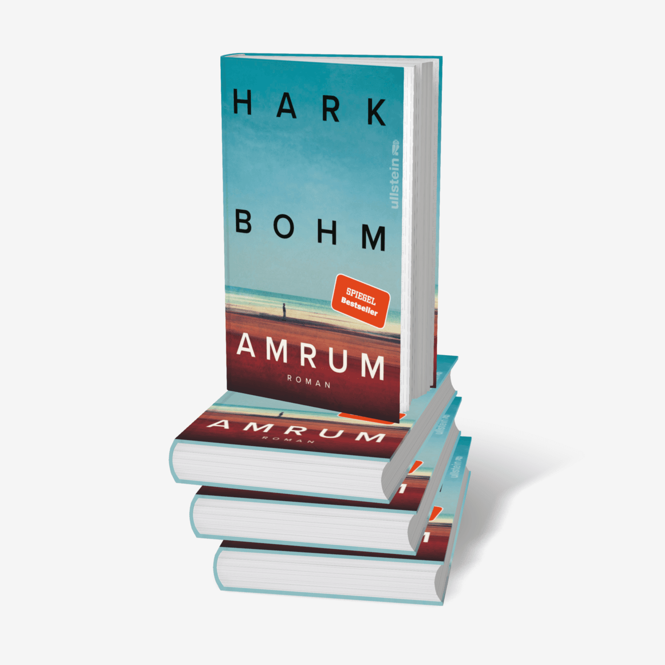 Buchcover von Amrum