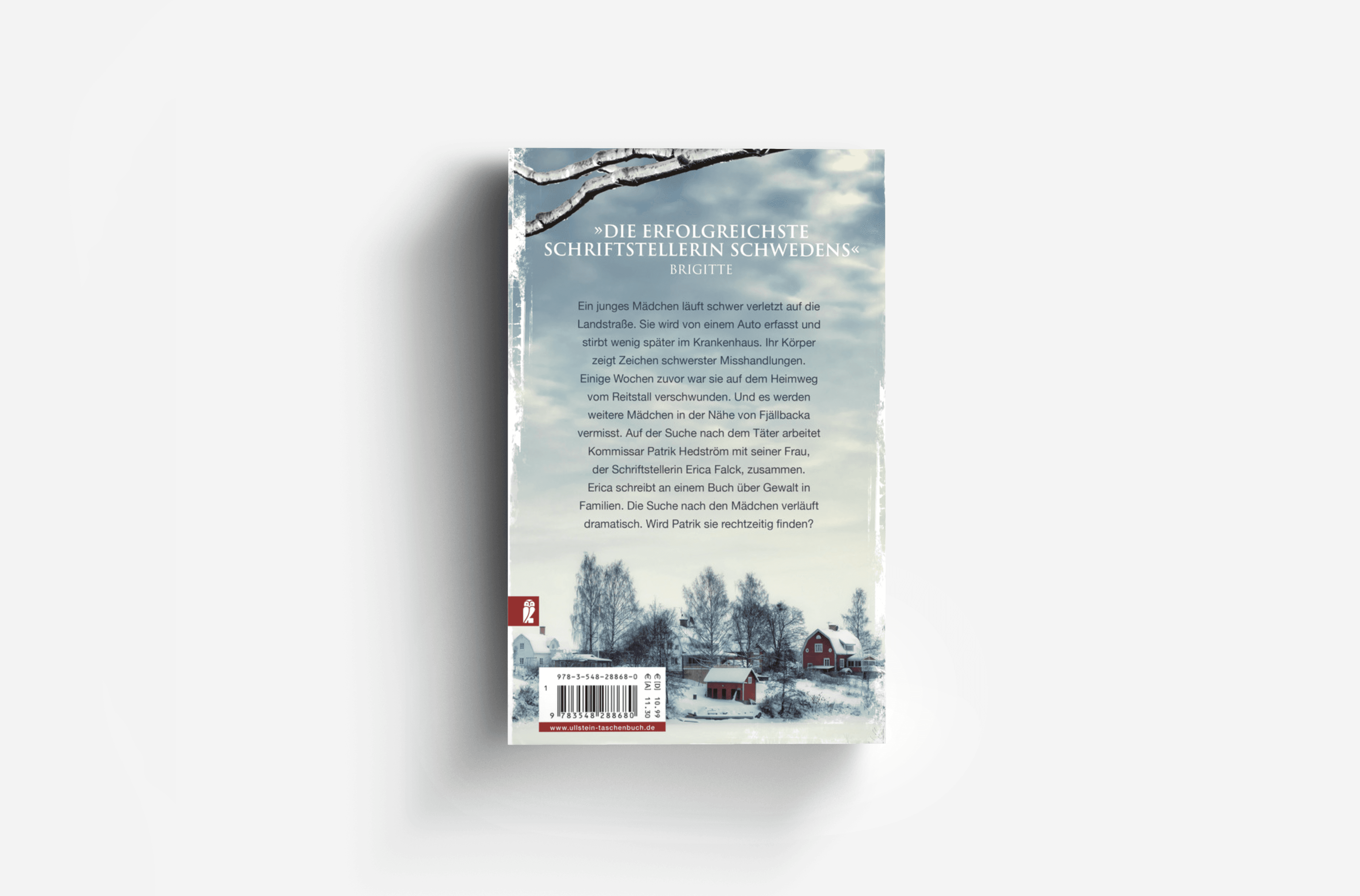 Buchcover von Die Schneelöwin (Ein Falck-Hedström-Krimi 9)