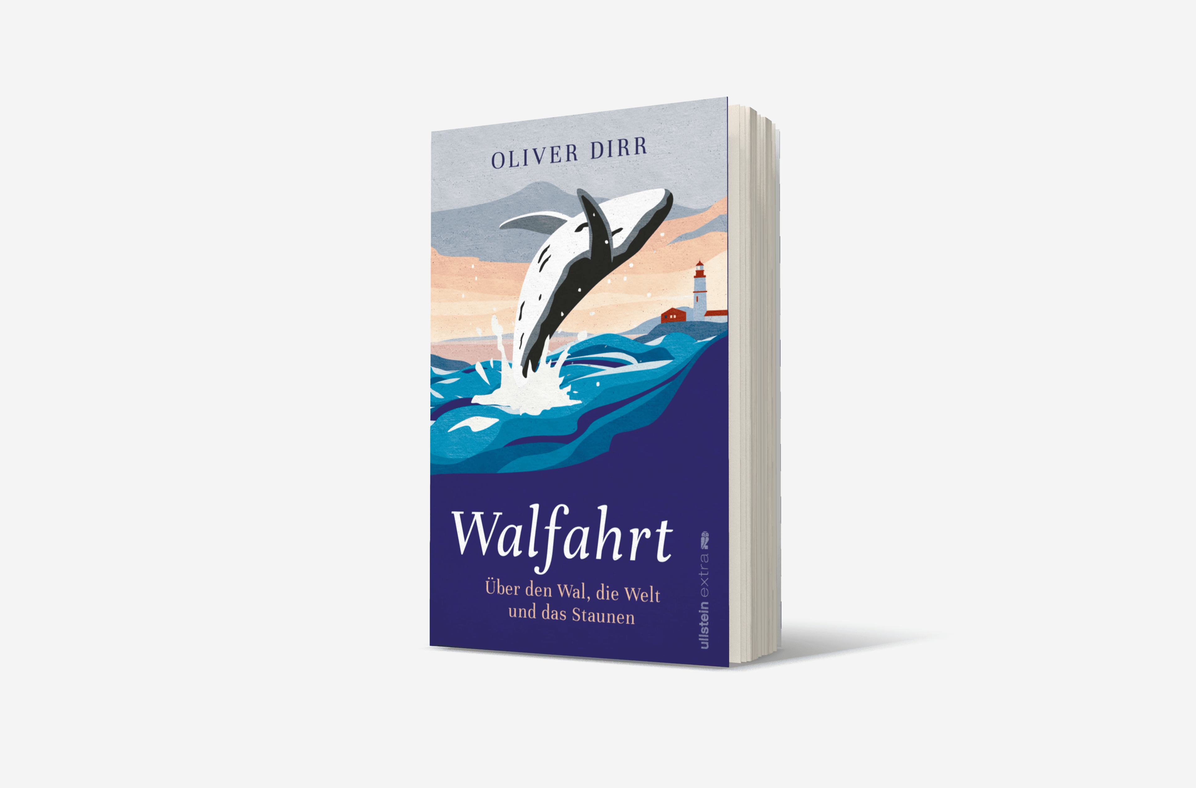 Buchcover von Walfahrt