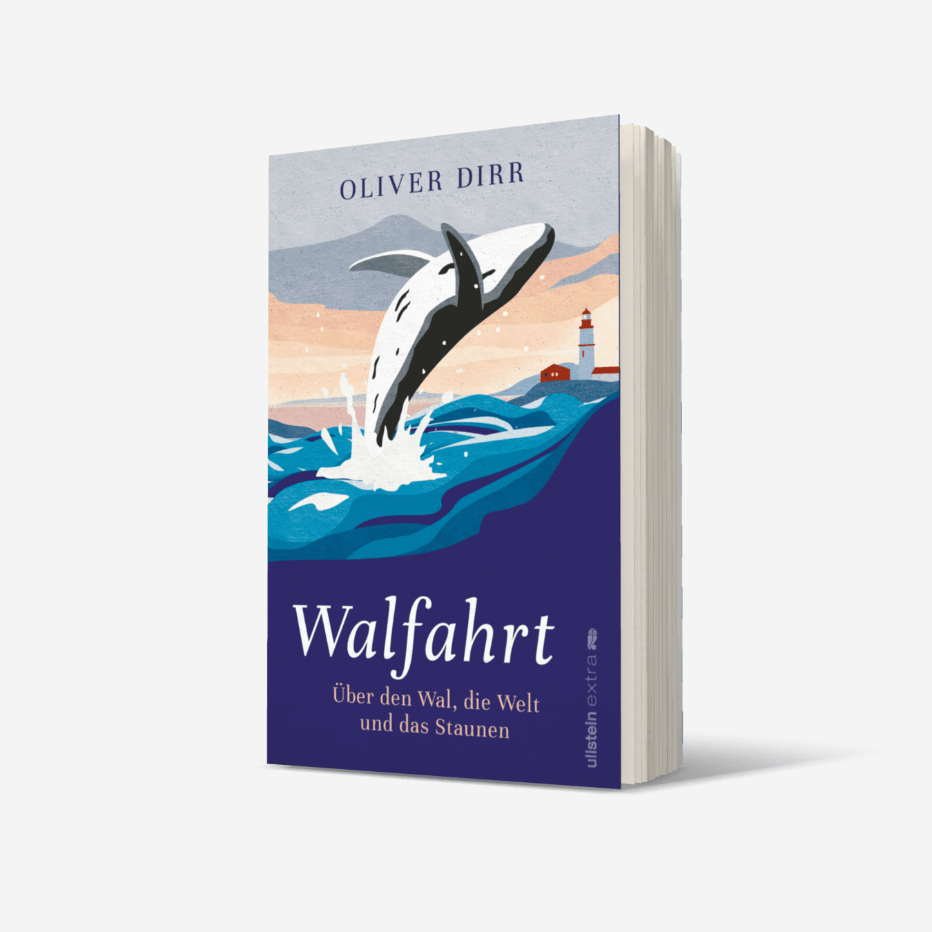 Buchcover von Walfahrt