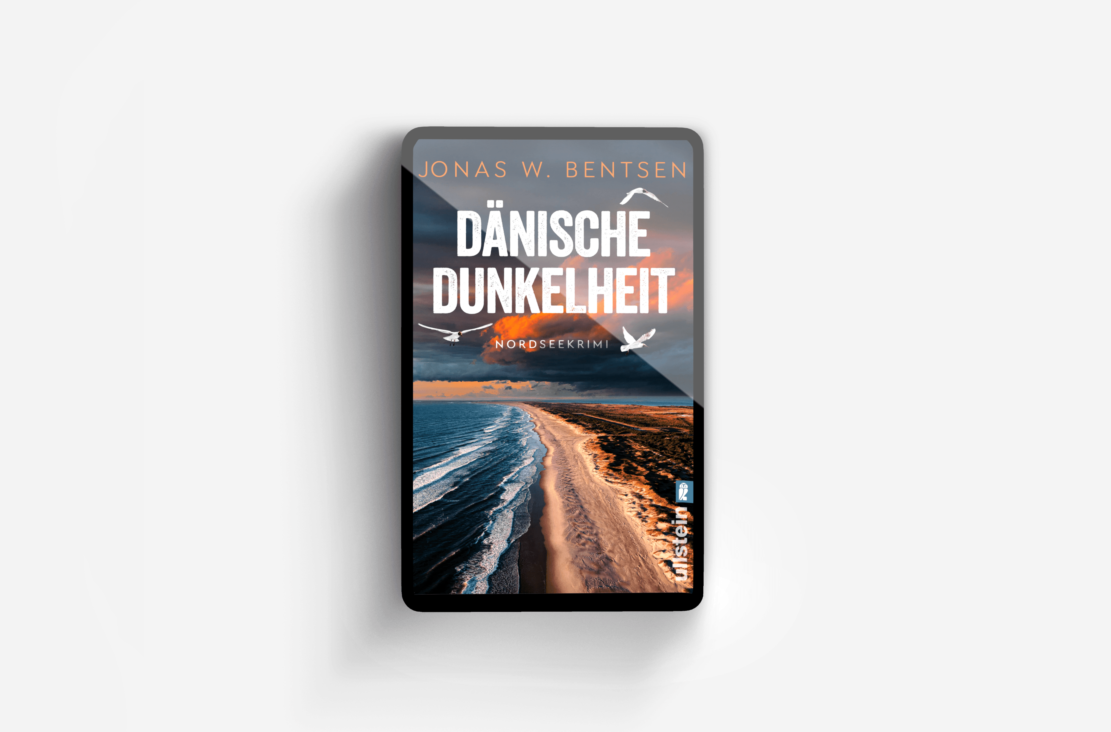 Buchcover von Dänische Dunkelheit