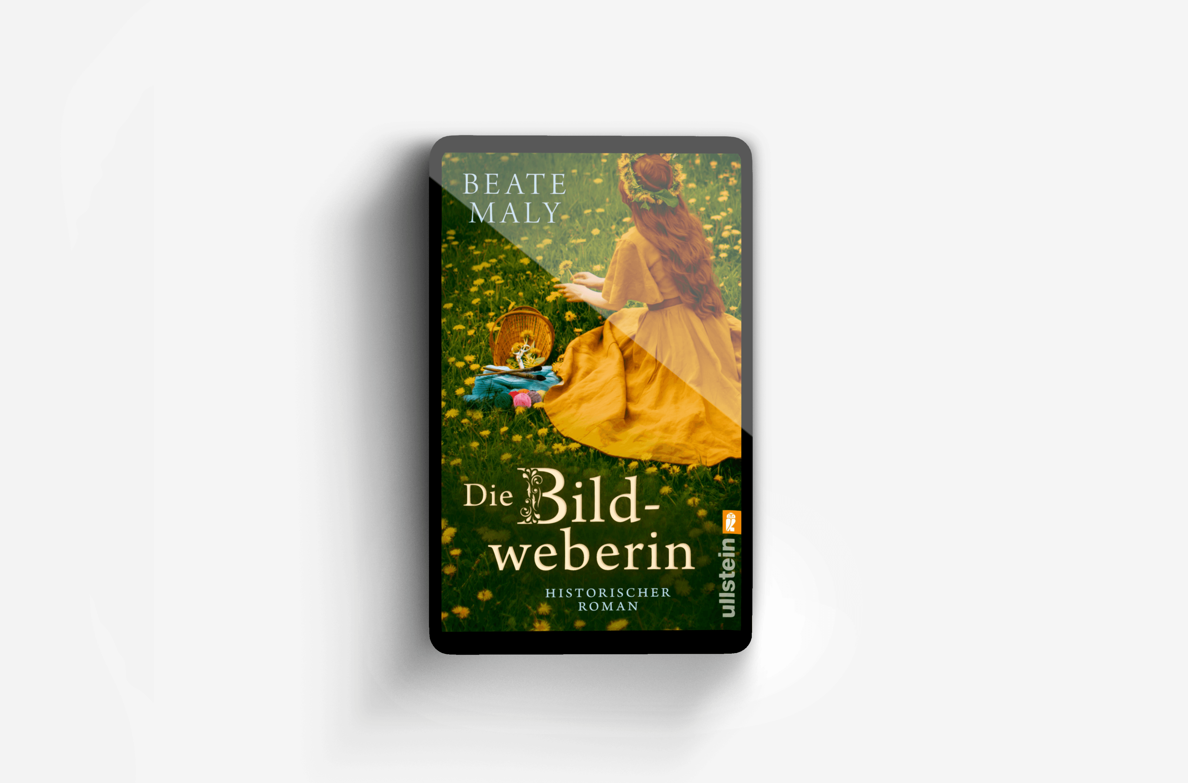 Buchcover von Die Bildweberin