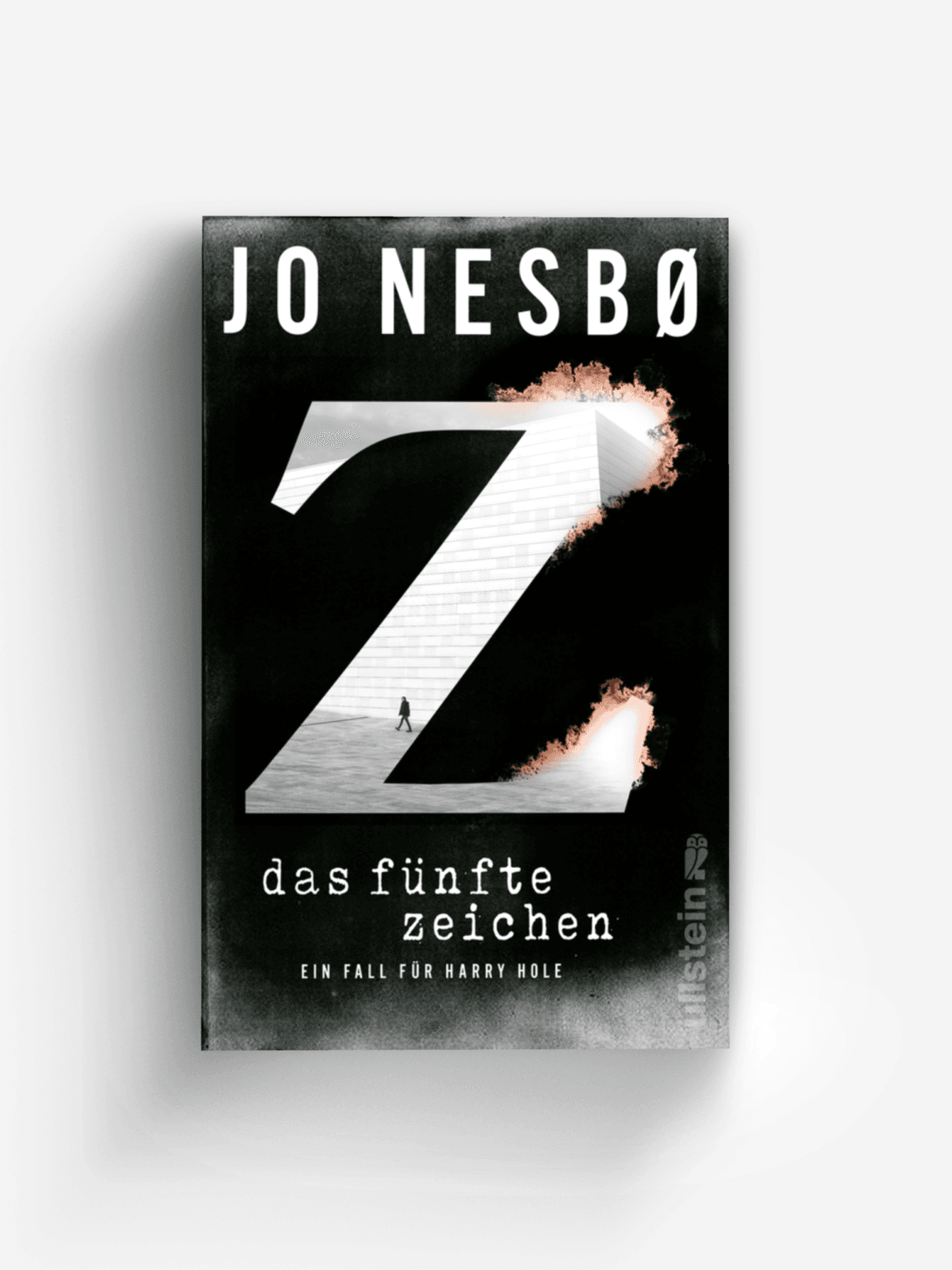 Das fünfte Zeichen (Ein Harry-Hole-Krimi 5)