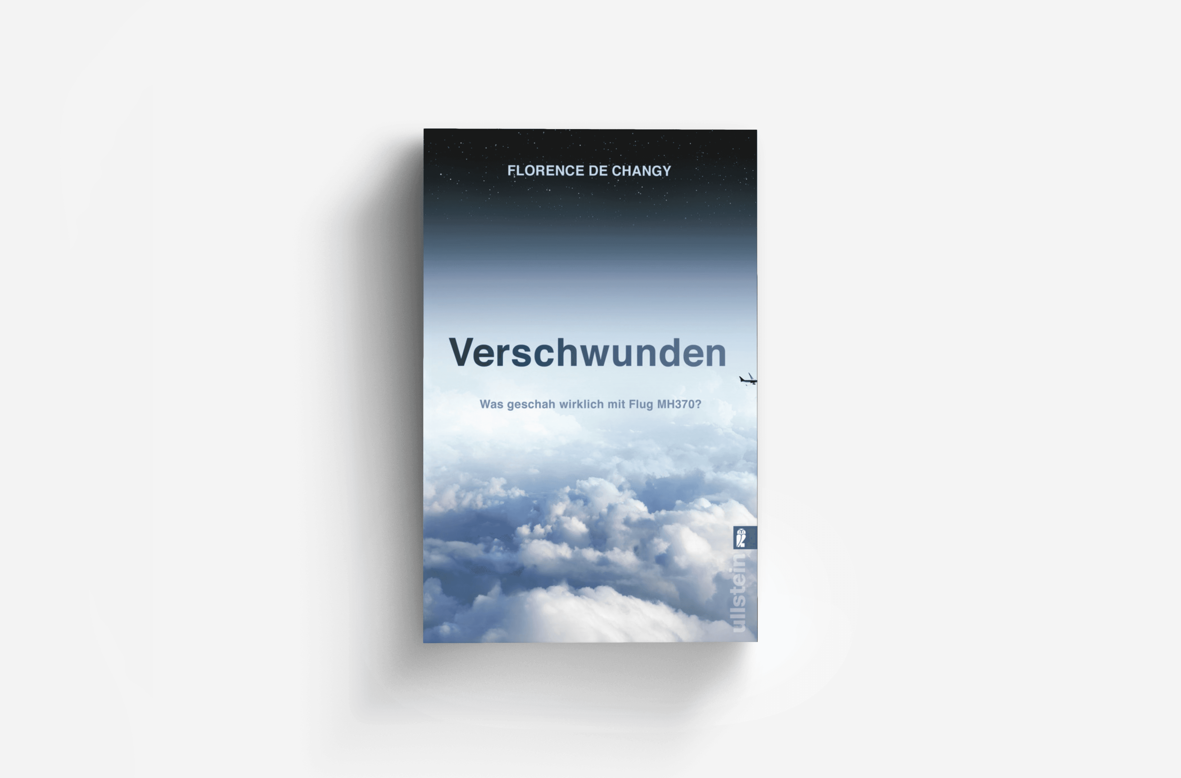 Buchcover von Verschwunden