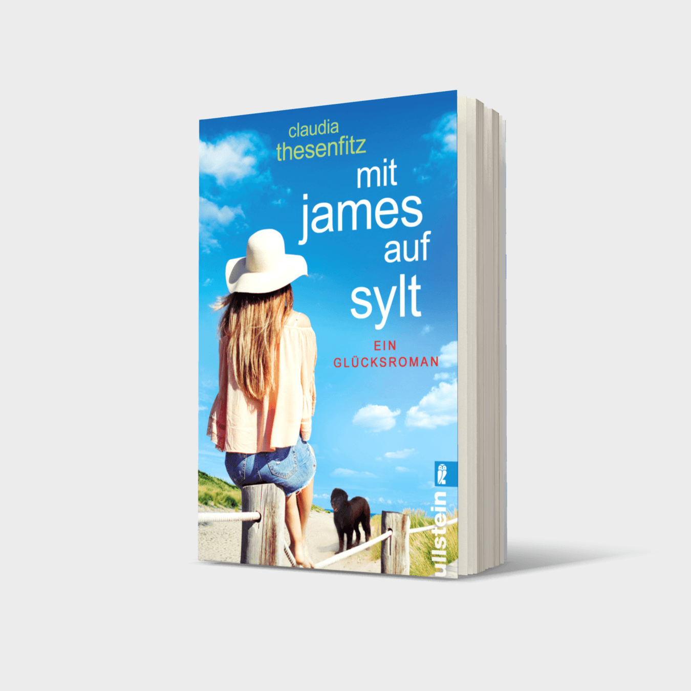 Buchcover von Mit James auf Sylt