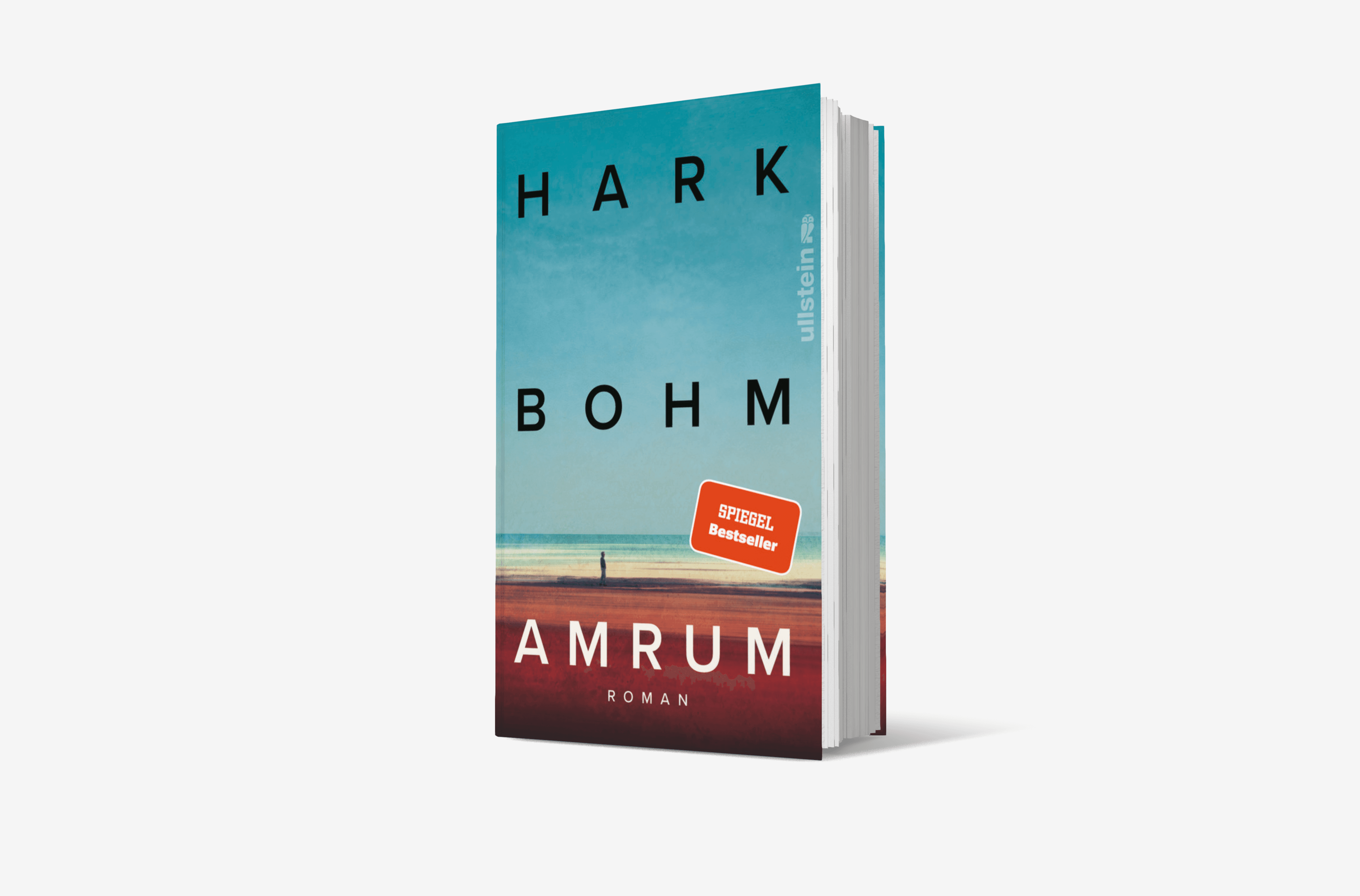 Buchcover von Amrum