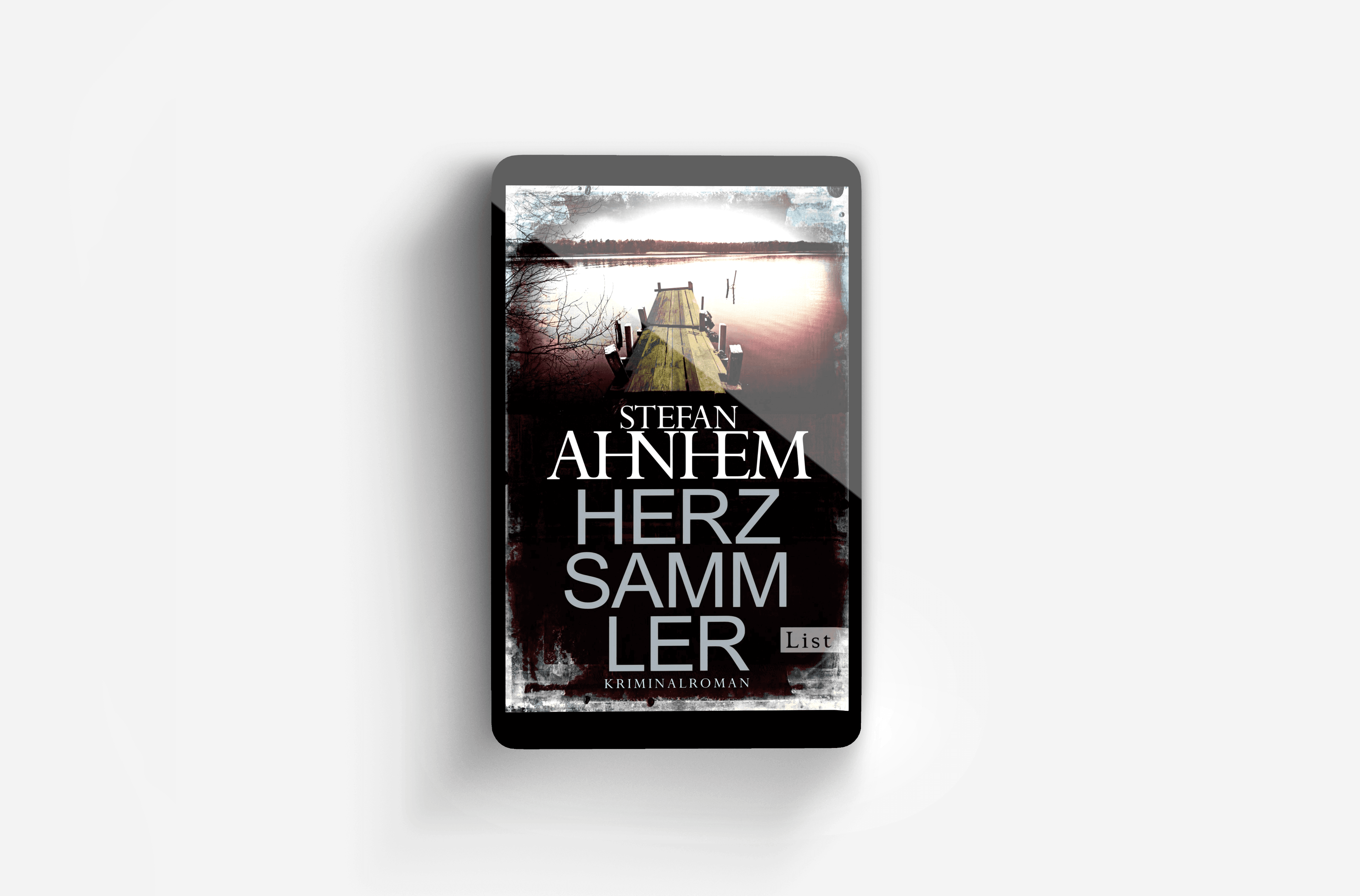 Buchcover von Herzsammler (Ein Fabian-Risk-Krimi 2)