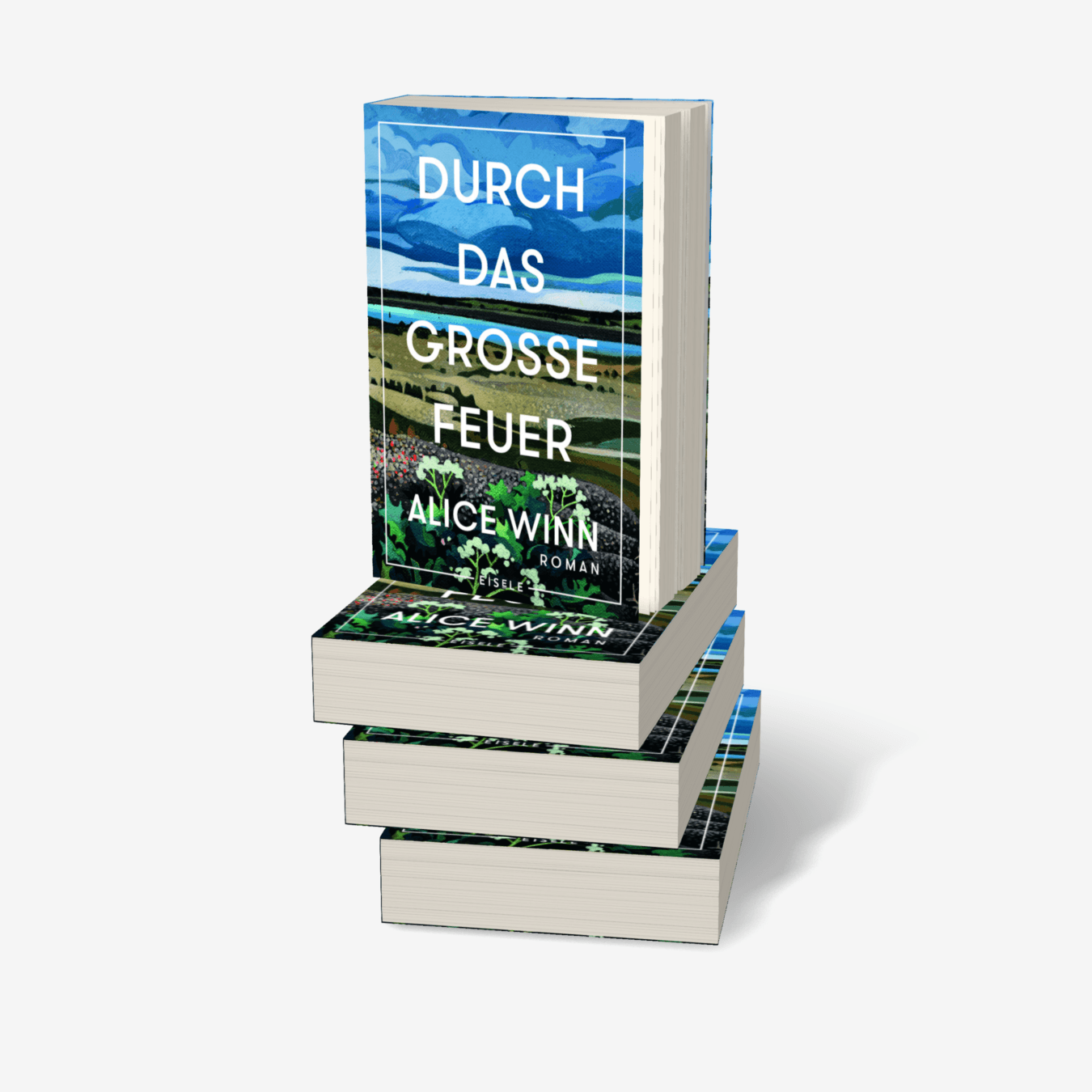 Buchcover von Durch das große Feuer