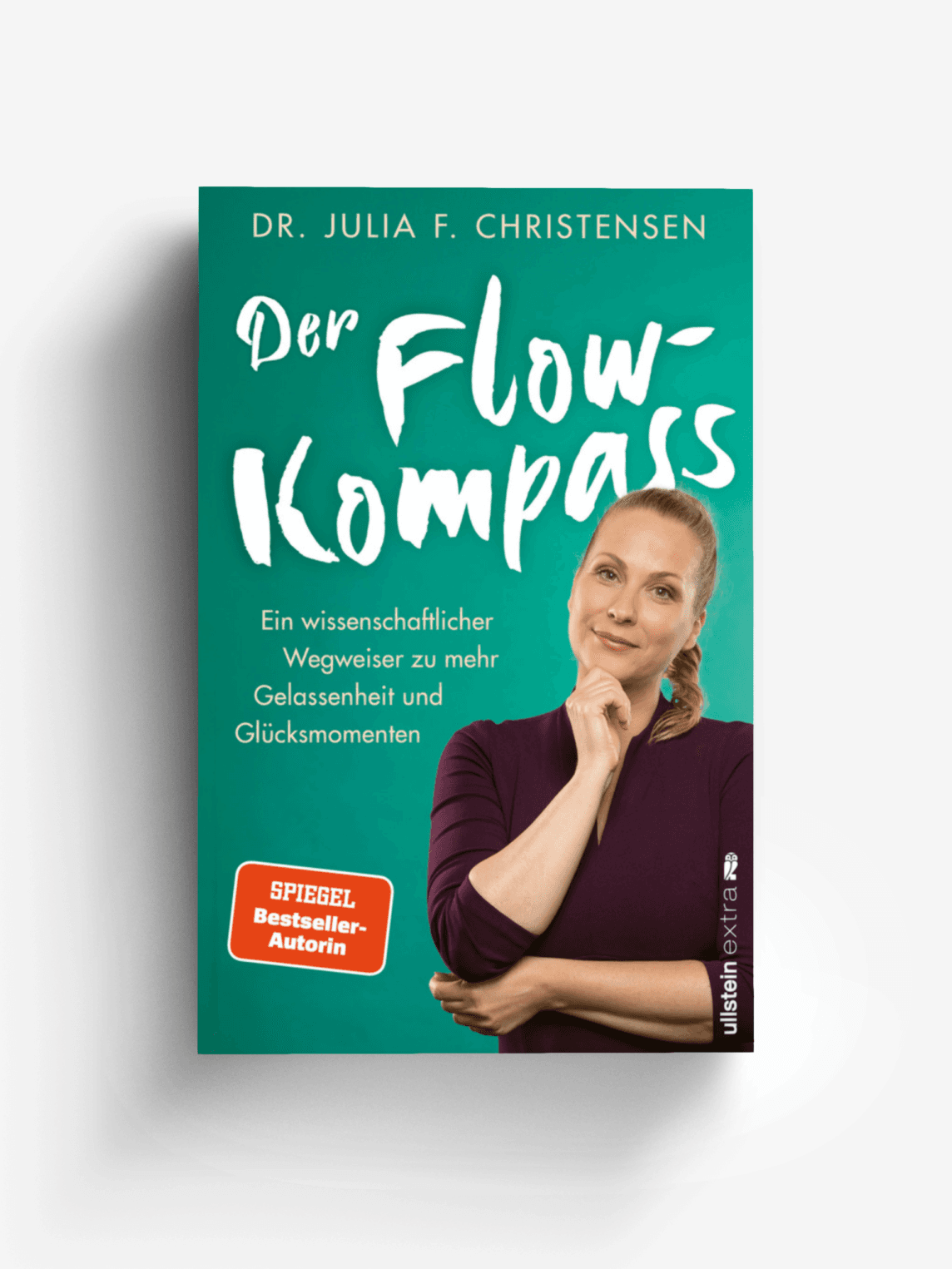 Der Flow-Kompass