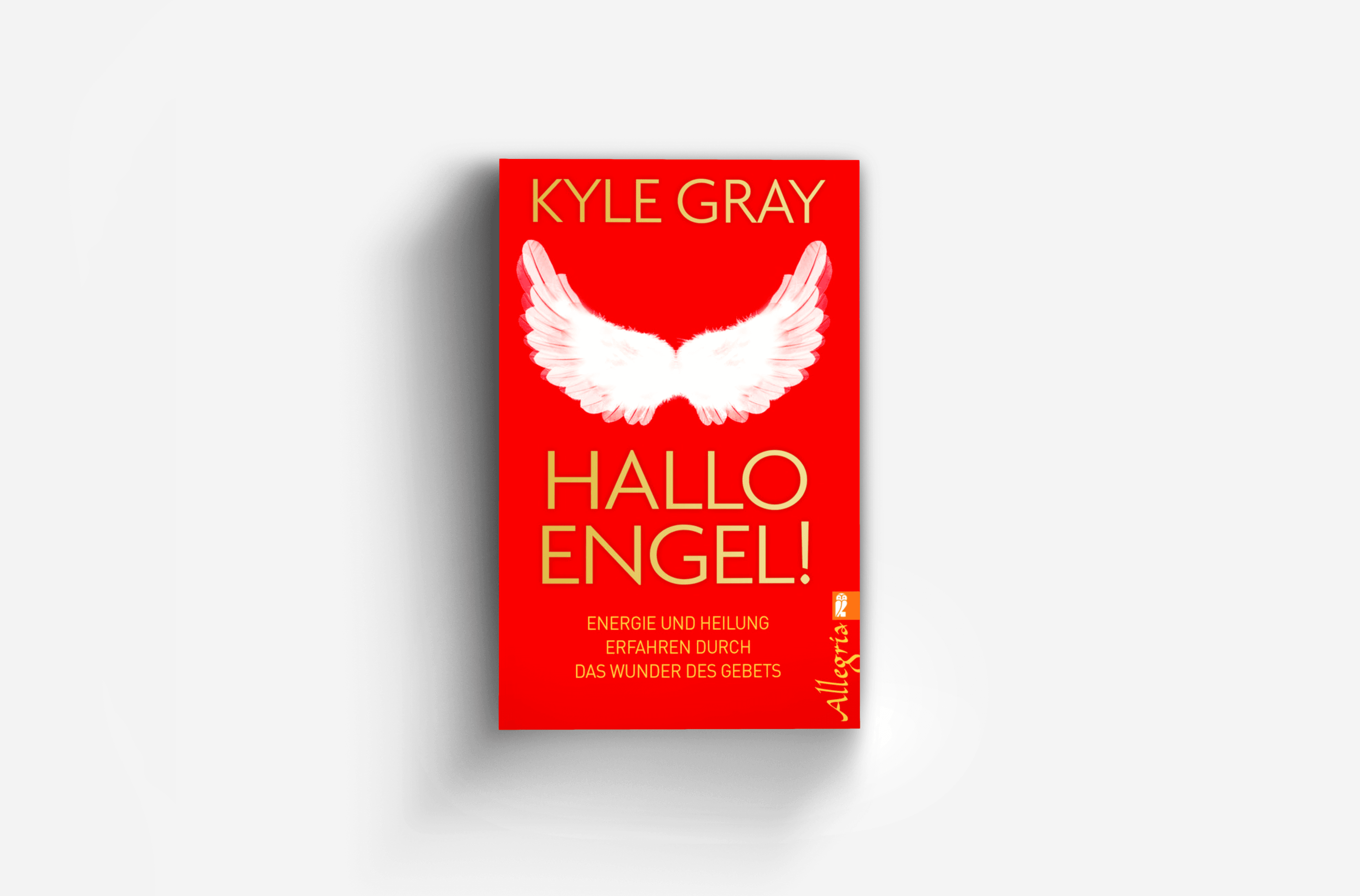 Buchcover von Hallo Engel!