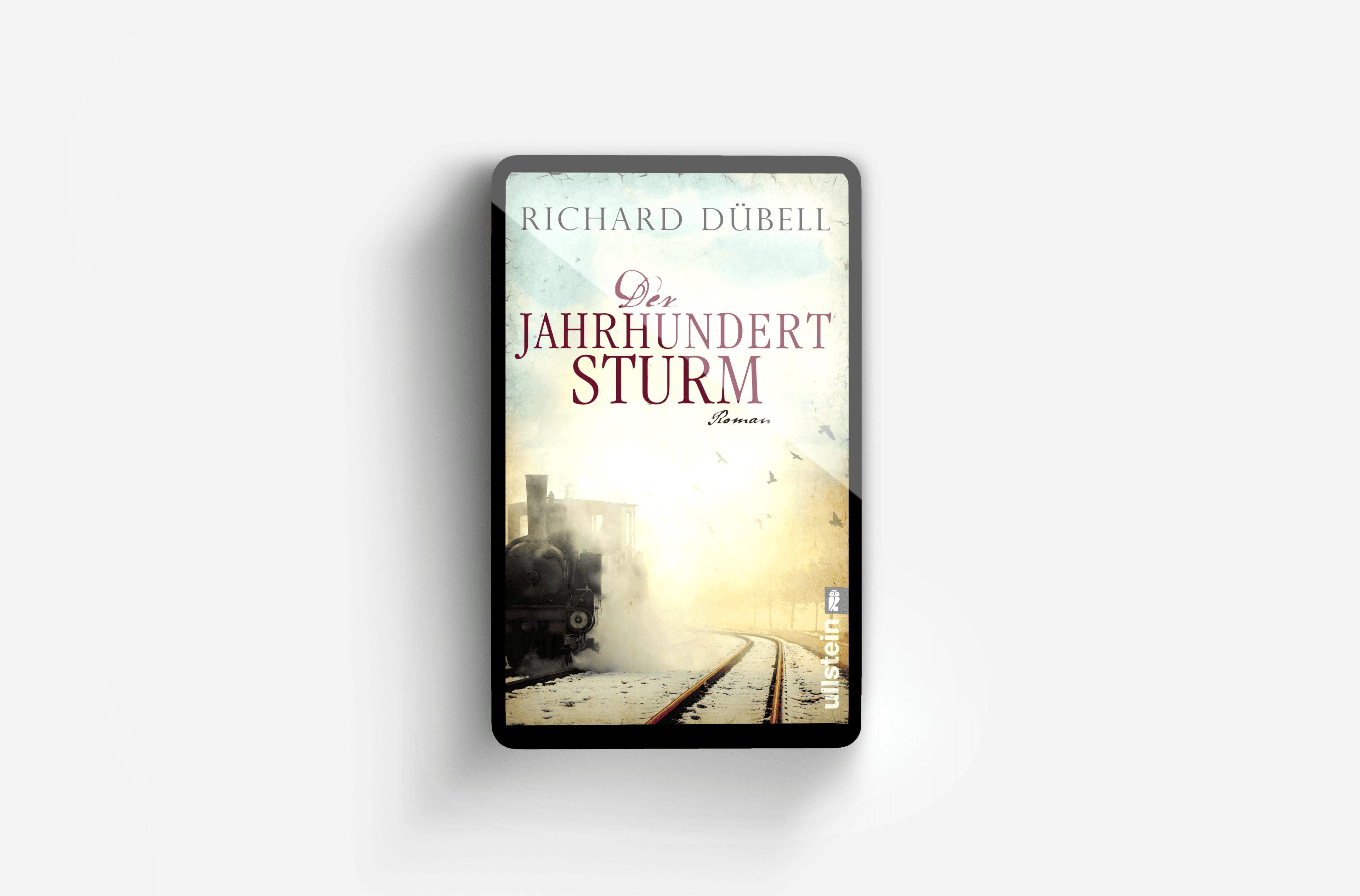 Buchcover von Der Jahrhundertsturm (Jahrhundertsturm-Serie 1)