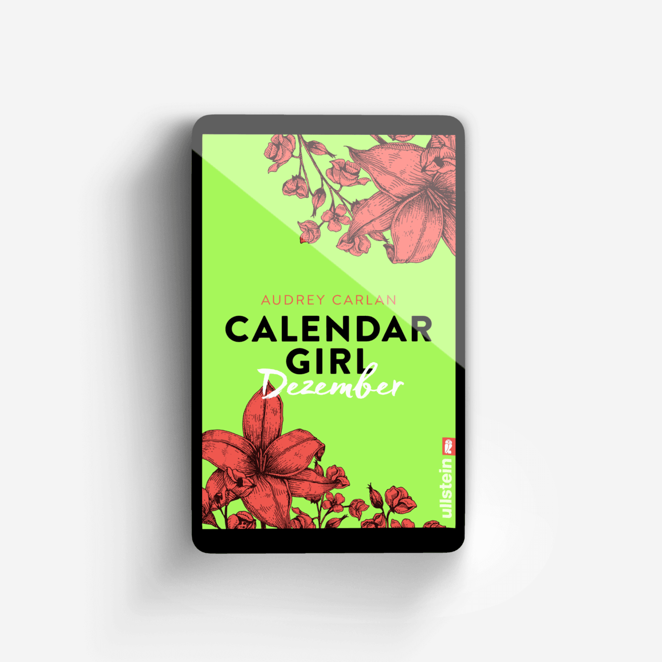 Buchcover von Calendar Girl Dezember (Calendar Girl Buch 12)