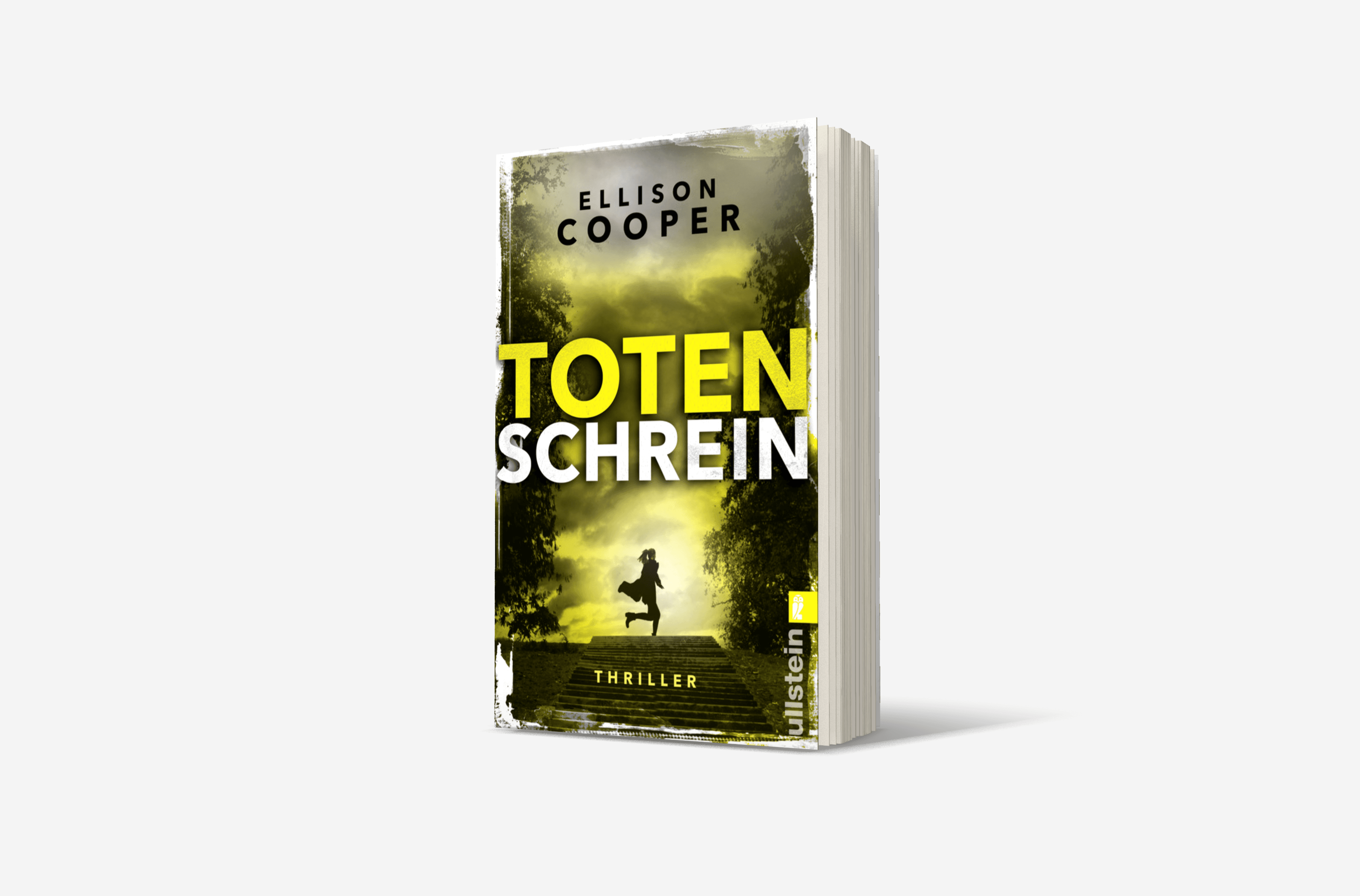 Buchcover von Totenschrein (Ein Sayer-Altair-Thriller 3)