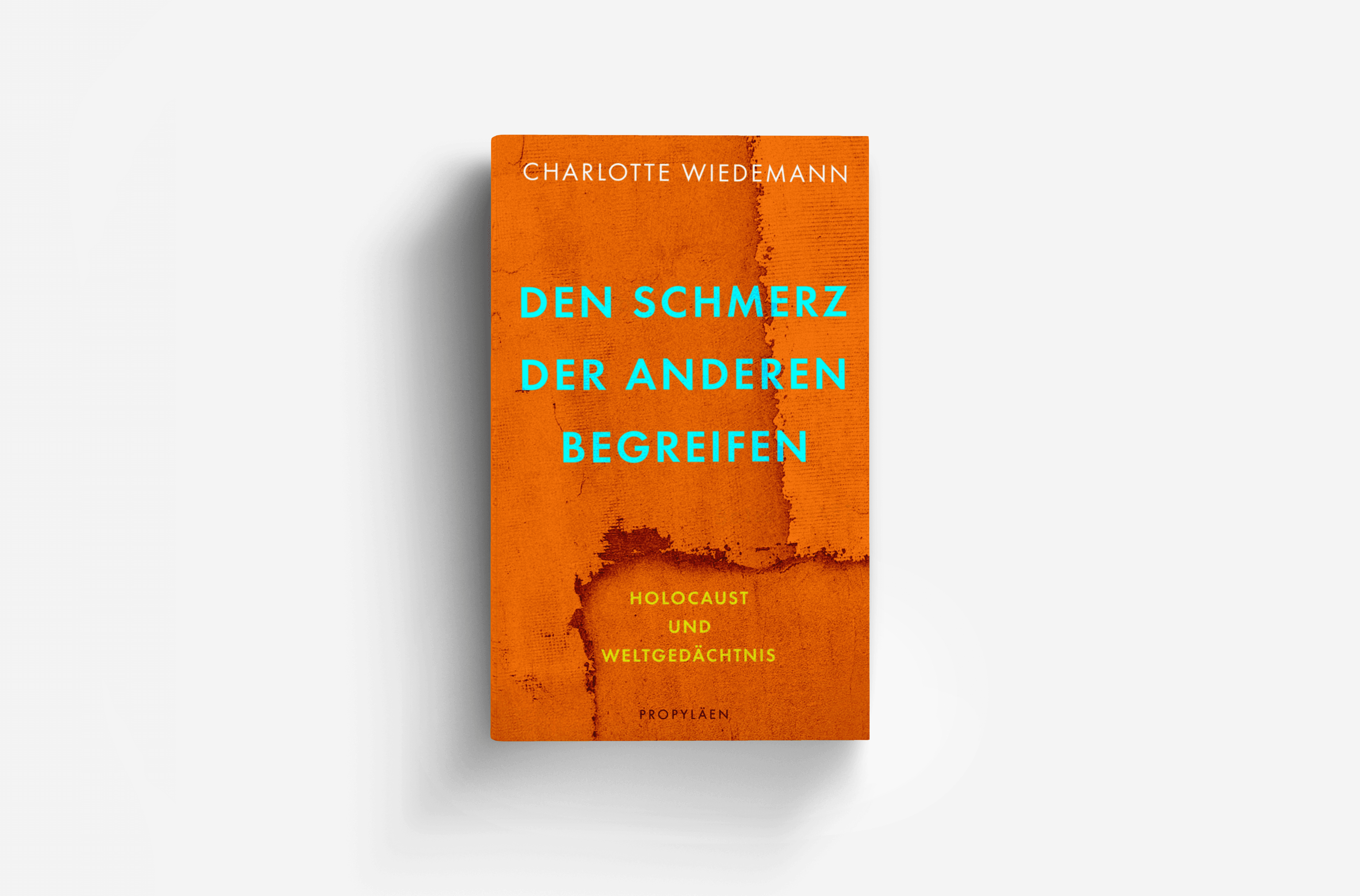 Buchcover von Den Schmerz der Anderen begreifen