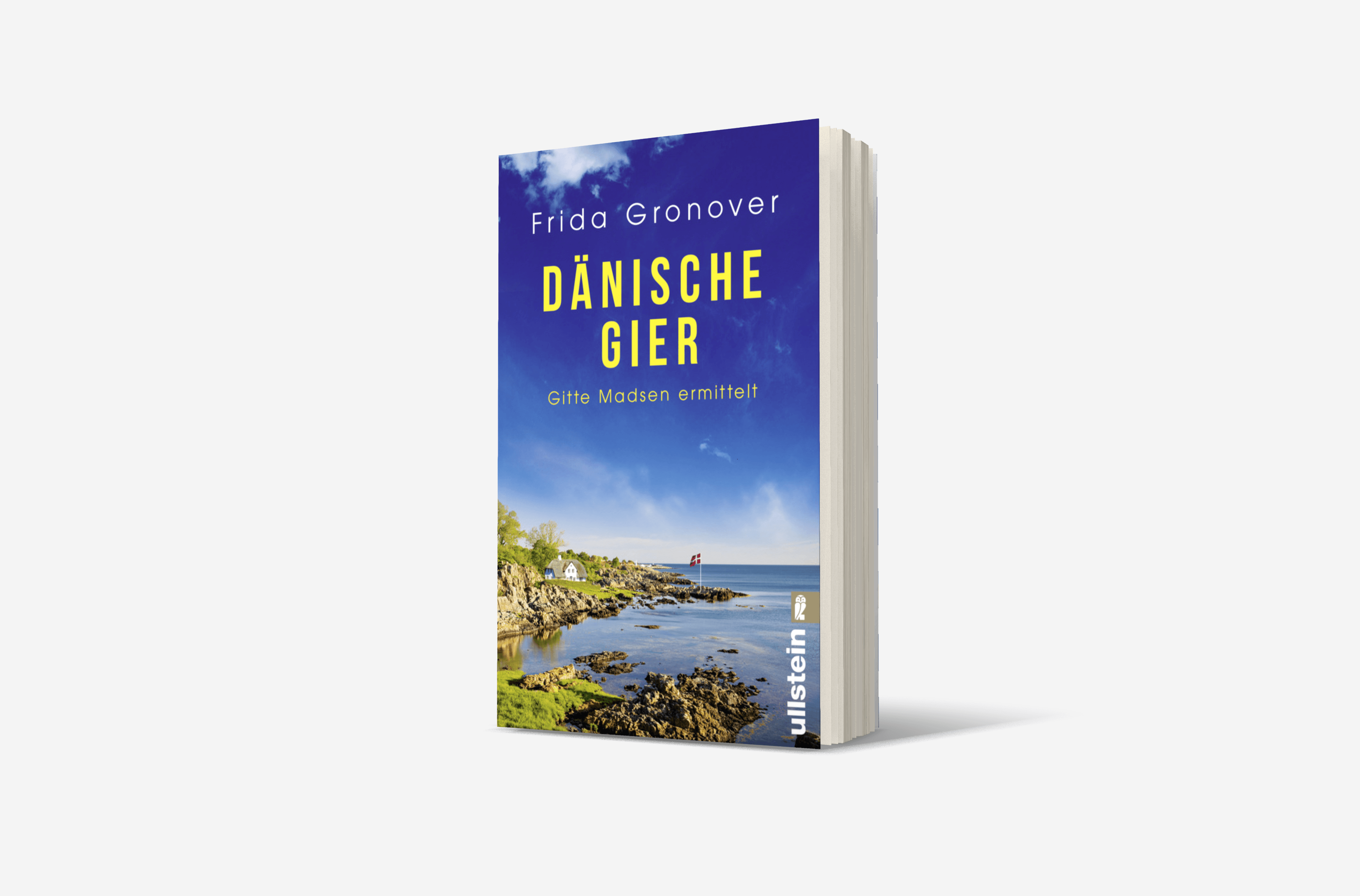 Buchcover von Dänische Gier (Ein Gitte-Madsen-Krimi 3)