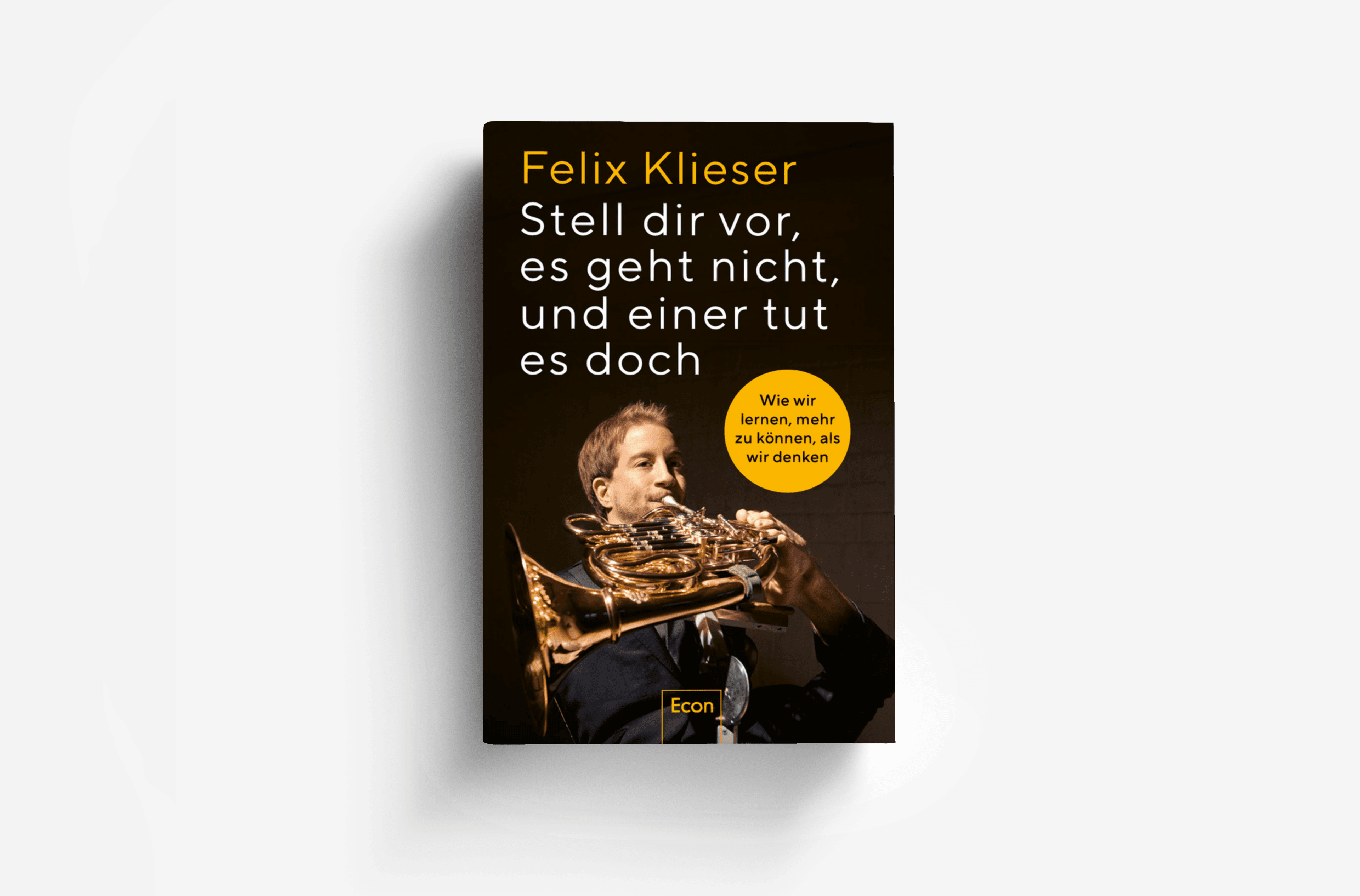 Buchcover von Stell dir vor, es geht nicht, und einer tut es doch