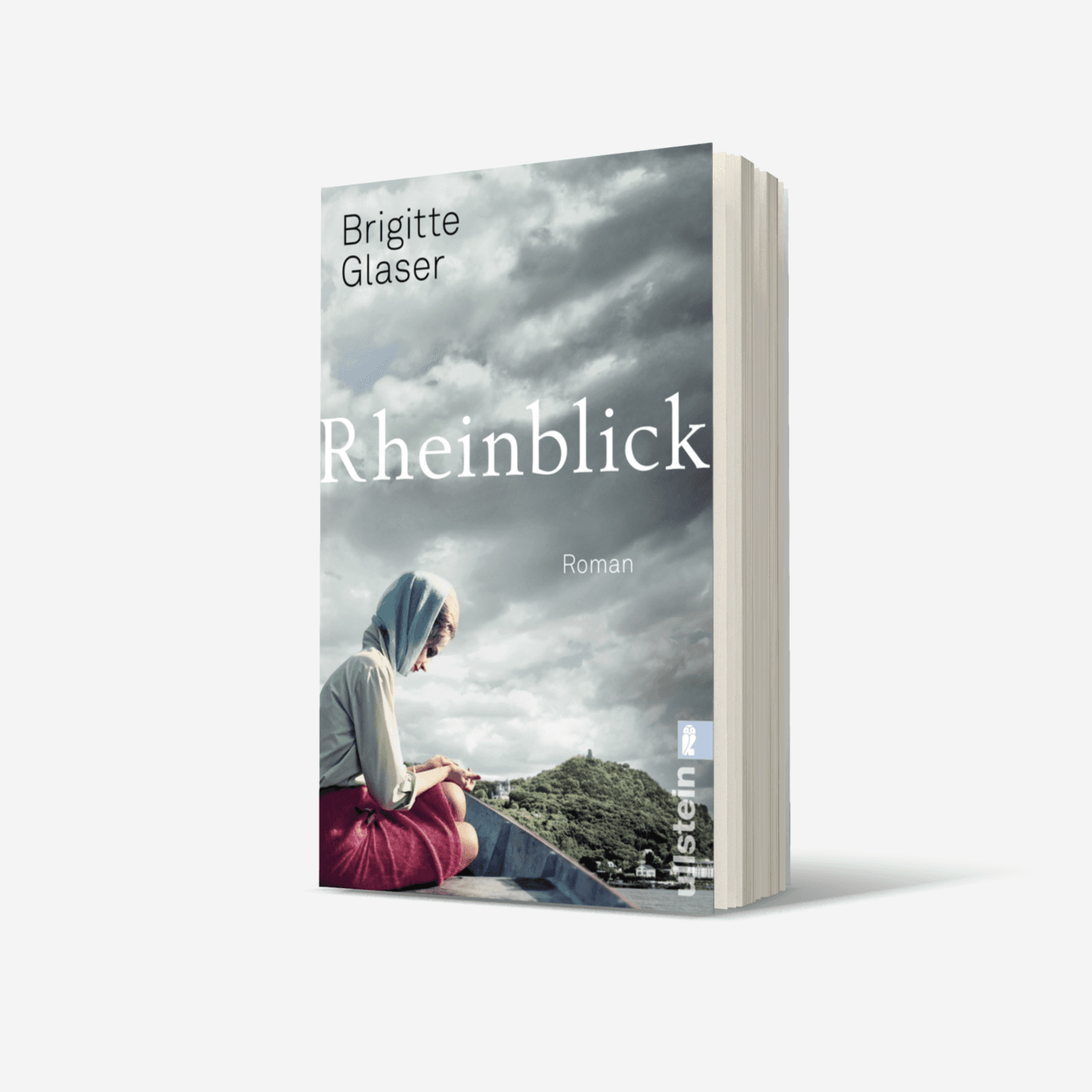 Buchcover von Rheinblick