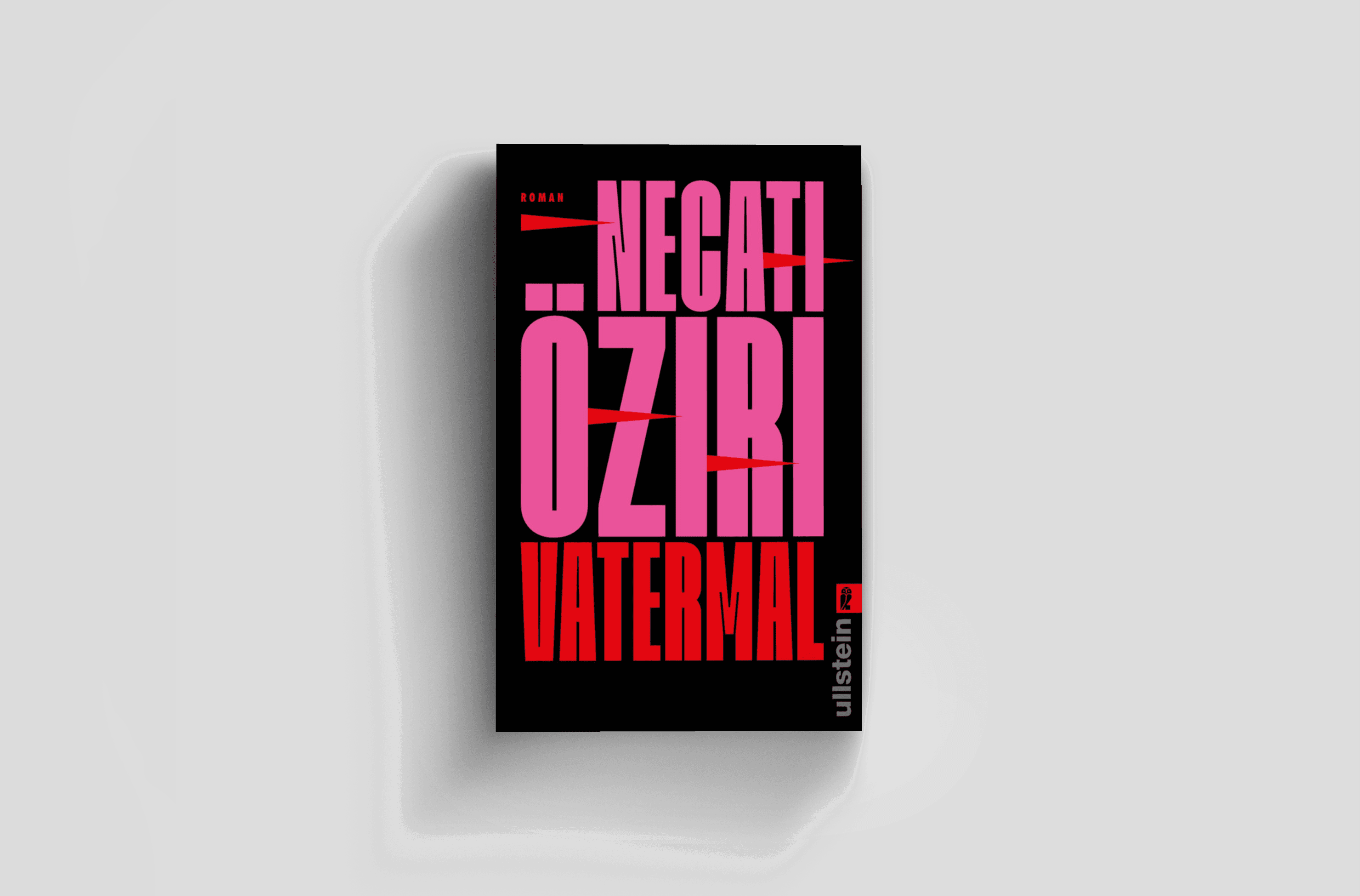 Buchcover von Vatermal