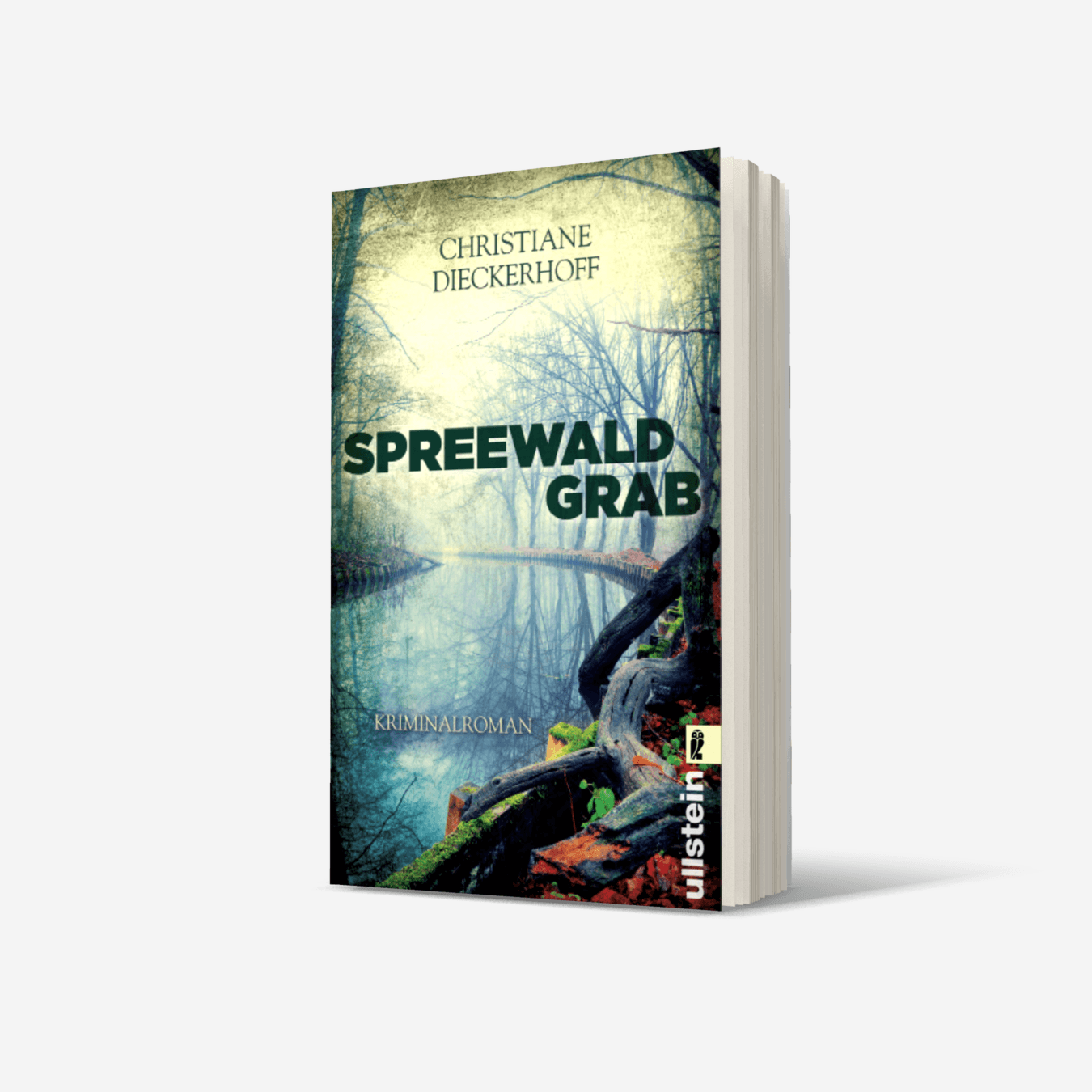 Buchcover von Spreewaldgrab (Ein-Fall-für-Klaudia-Wagner 1)