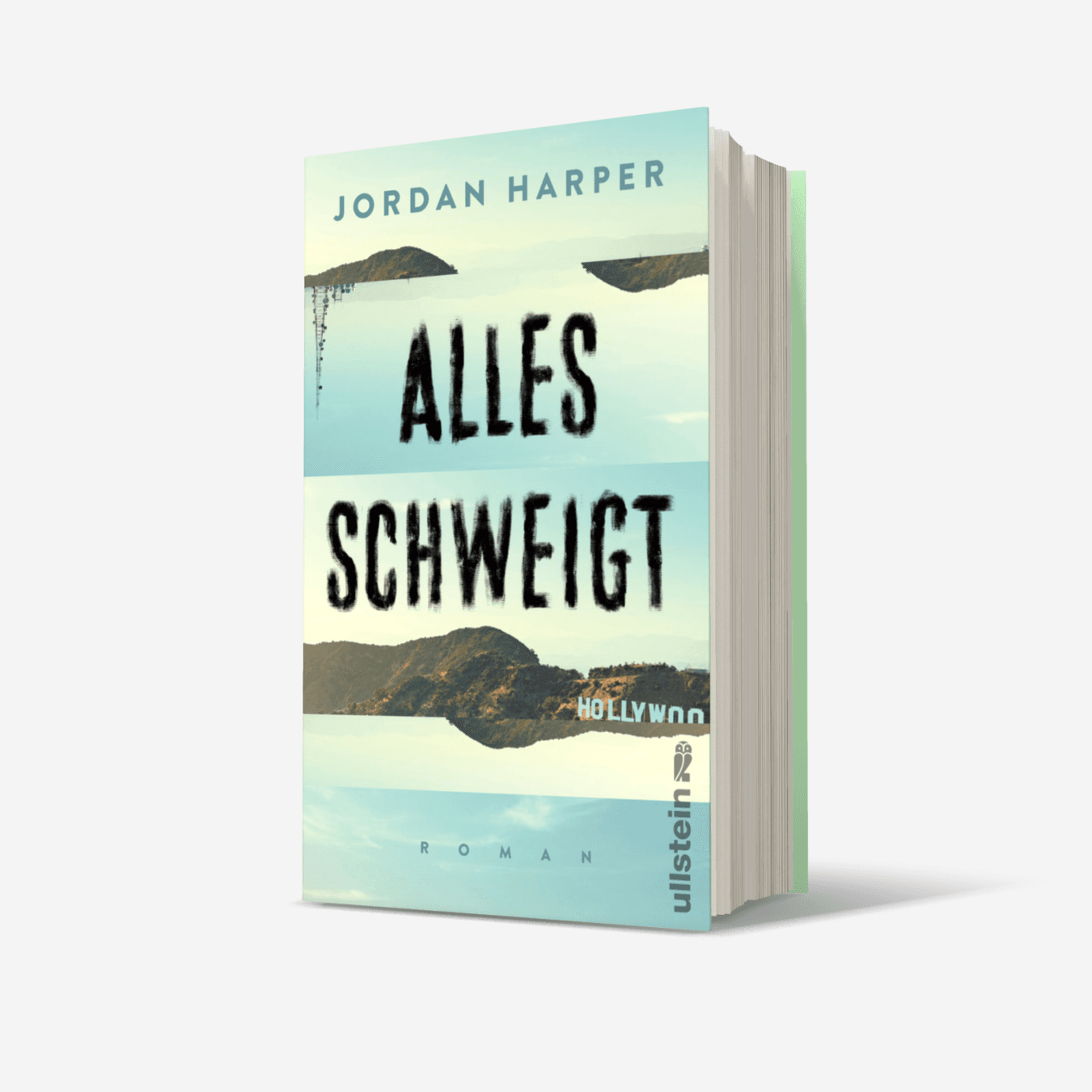 Buchcover von Alles schweigt