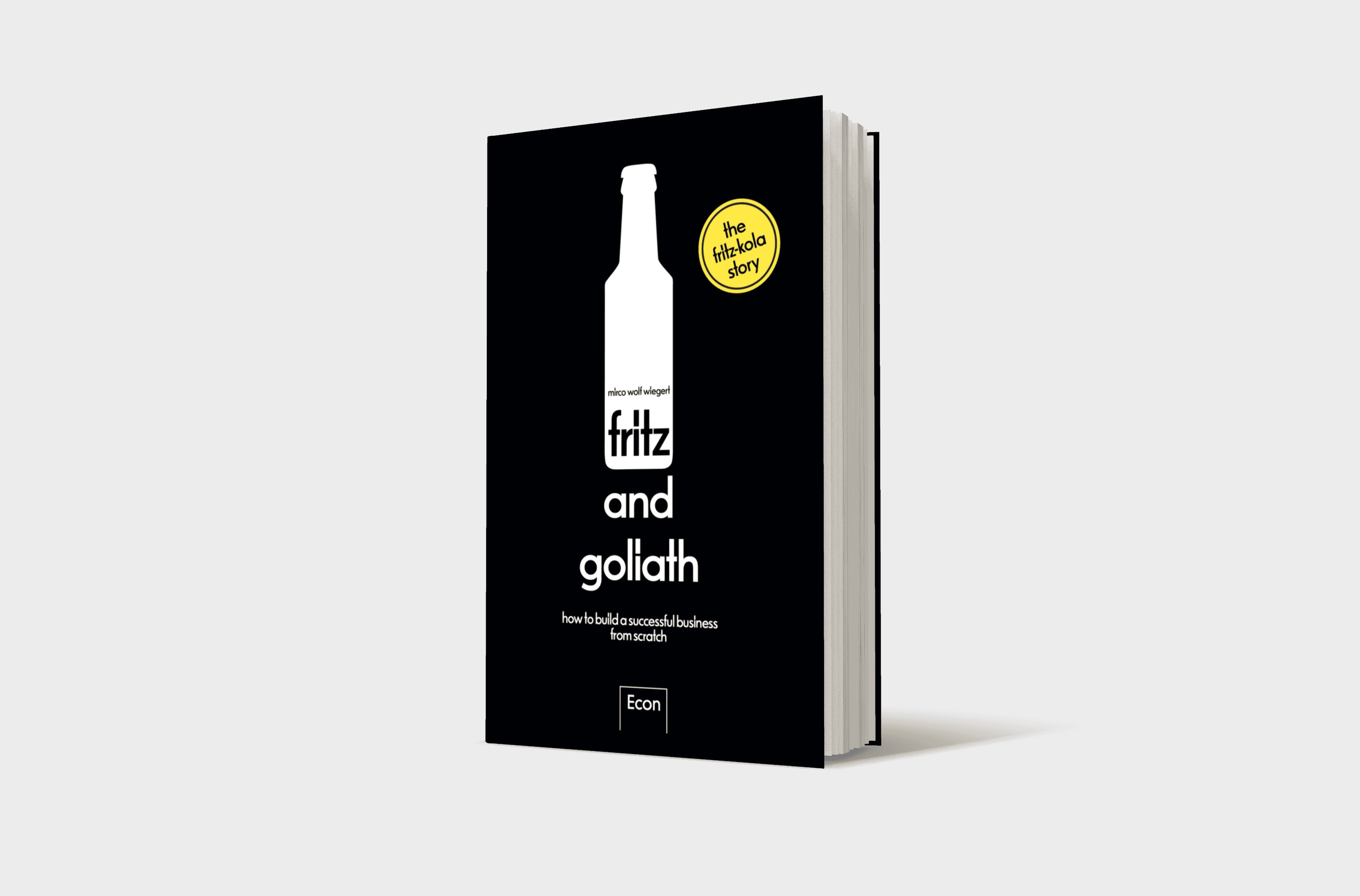 Buchcover von fritz and goliath