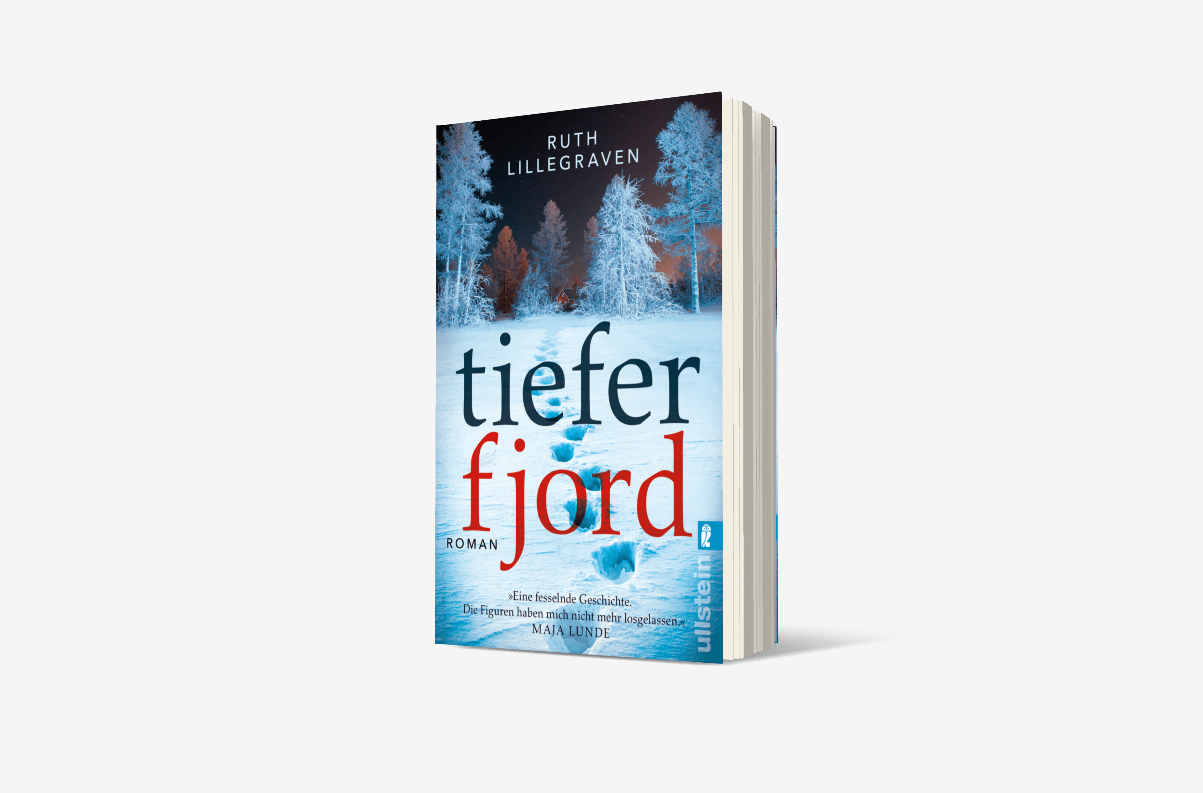 Buchcover von Tiefer Fjord