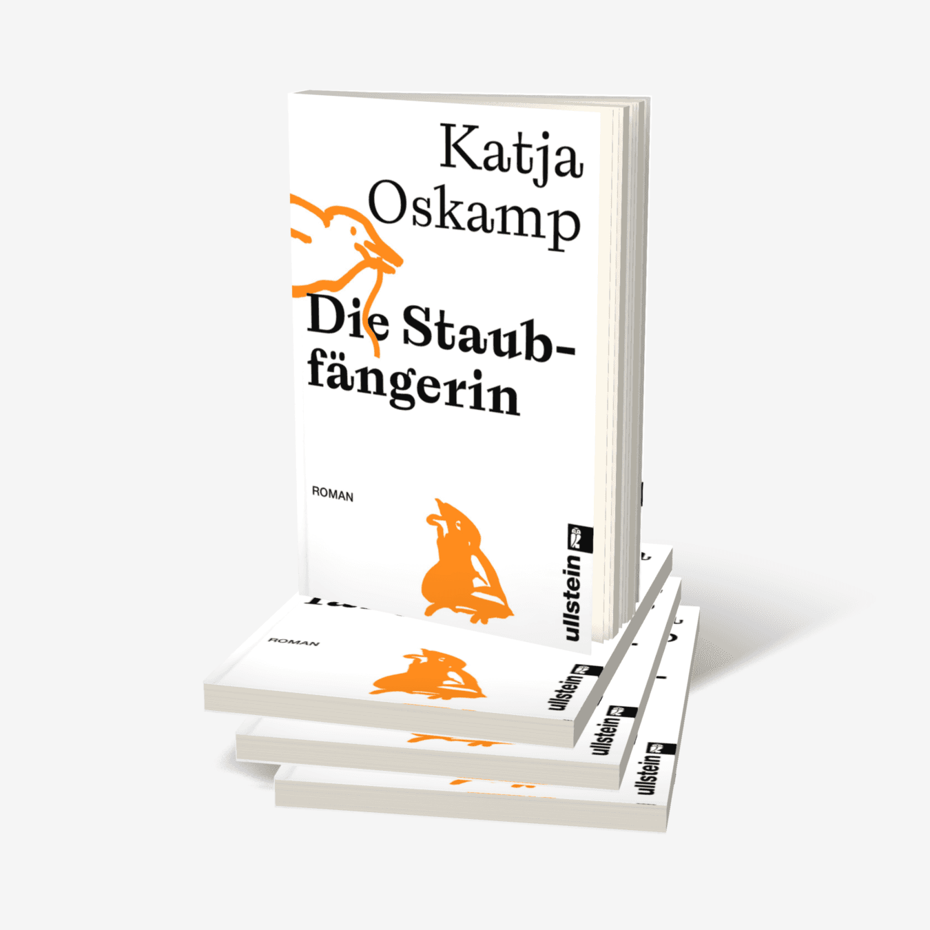 Buchcover von Die Staubfängerin