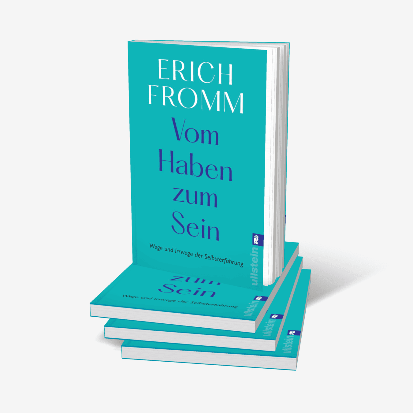 Buchcover von Vom Haben zum Sein