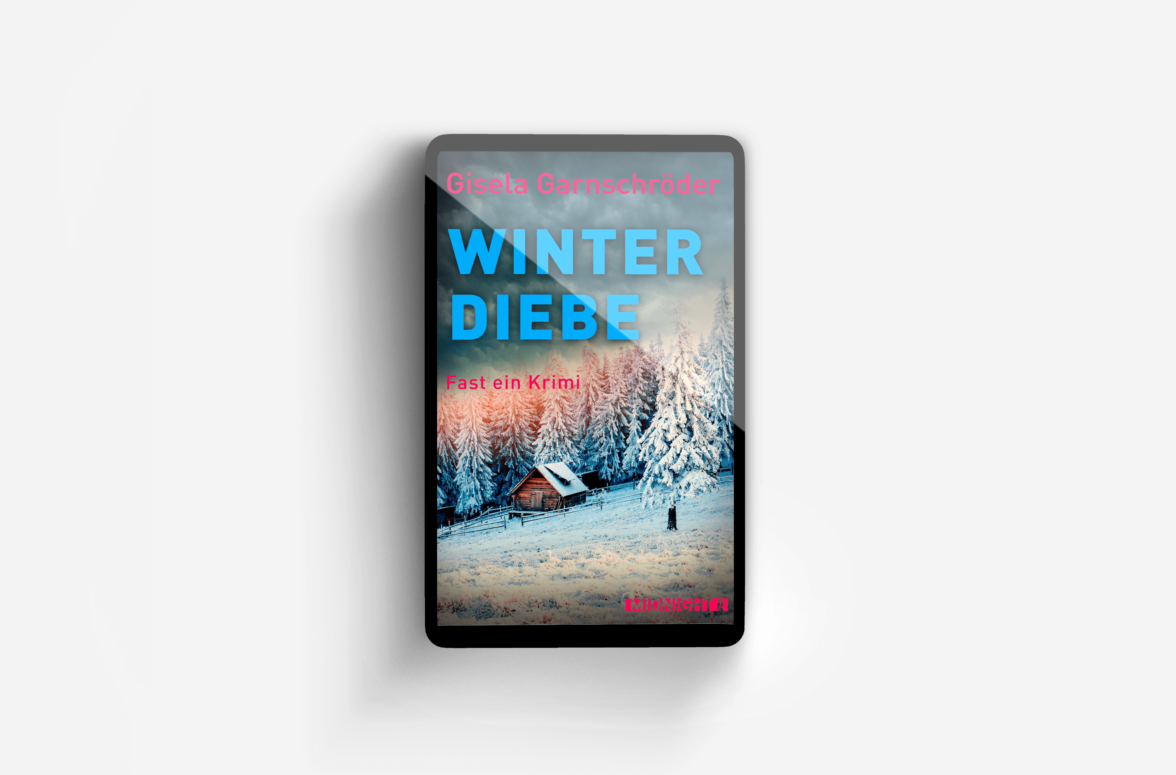 Buchcover von Winterdiebe
