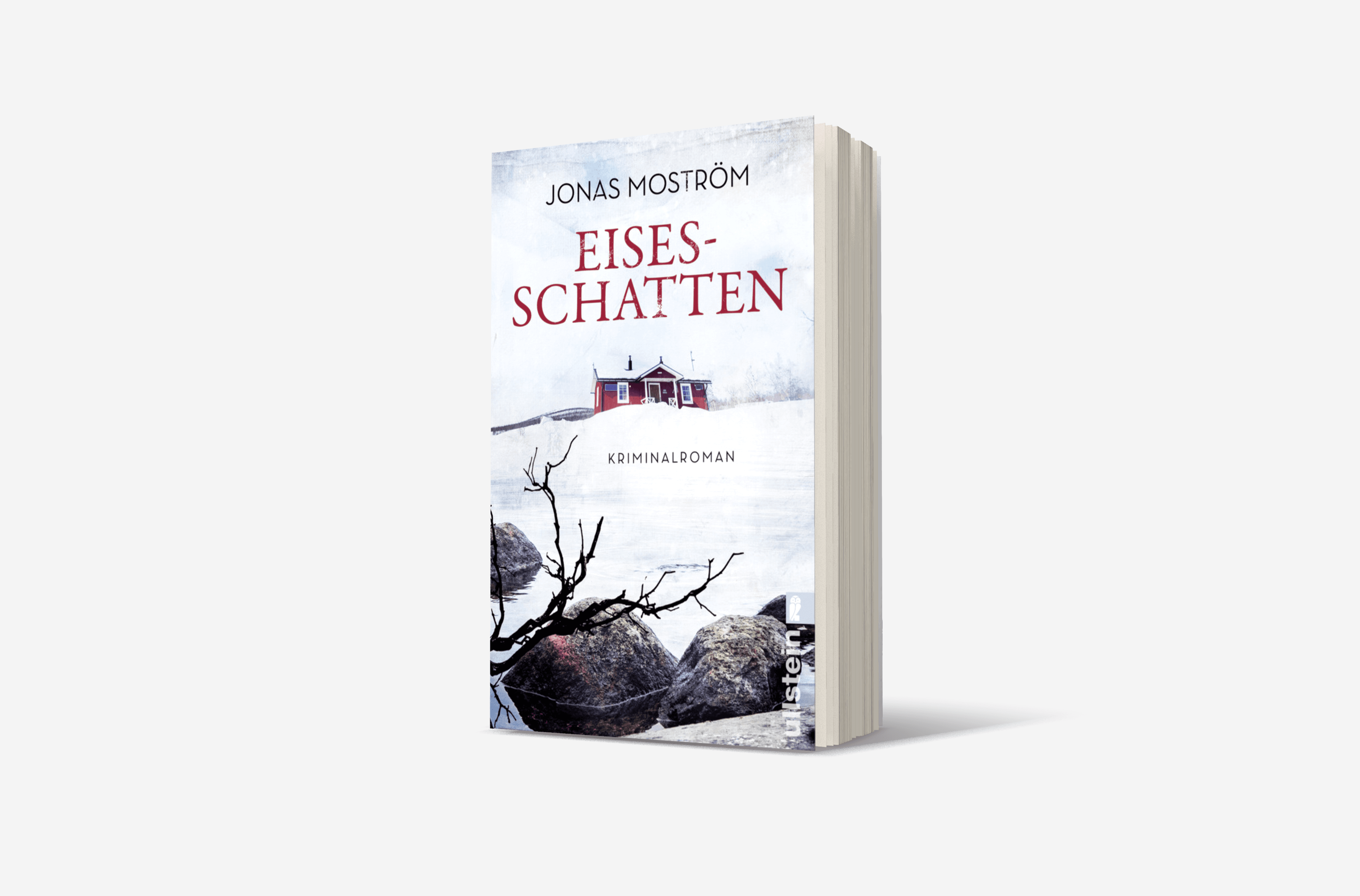 Buchcover von Eisesschatten (Ein Nathalie-Svensson-Krimi 5)