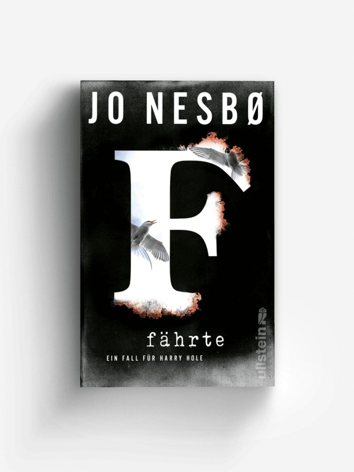 Fährte (Ein Harry-Hole-Krimi 4)