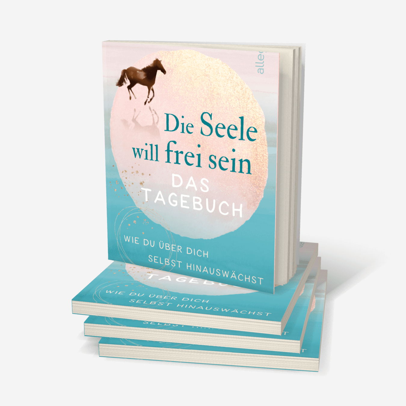 Buchcover von Die Seele will frei sein – Das Tagebuch