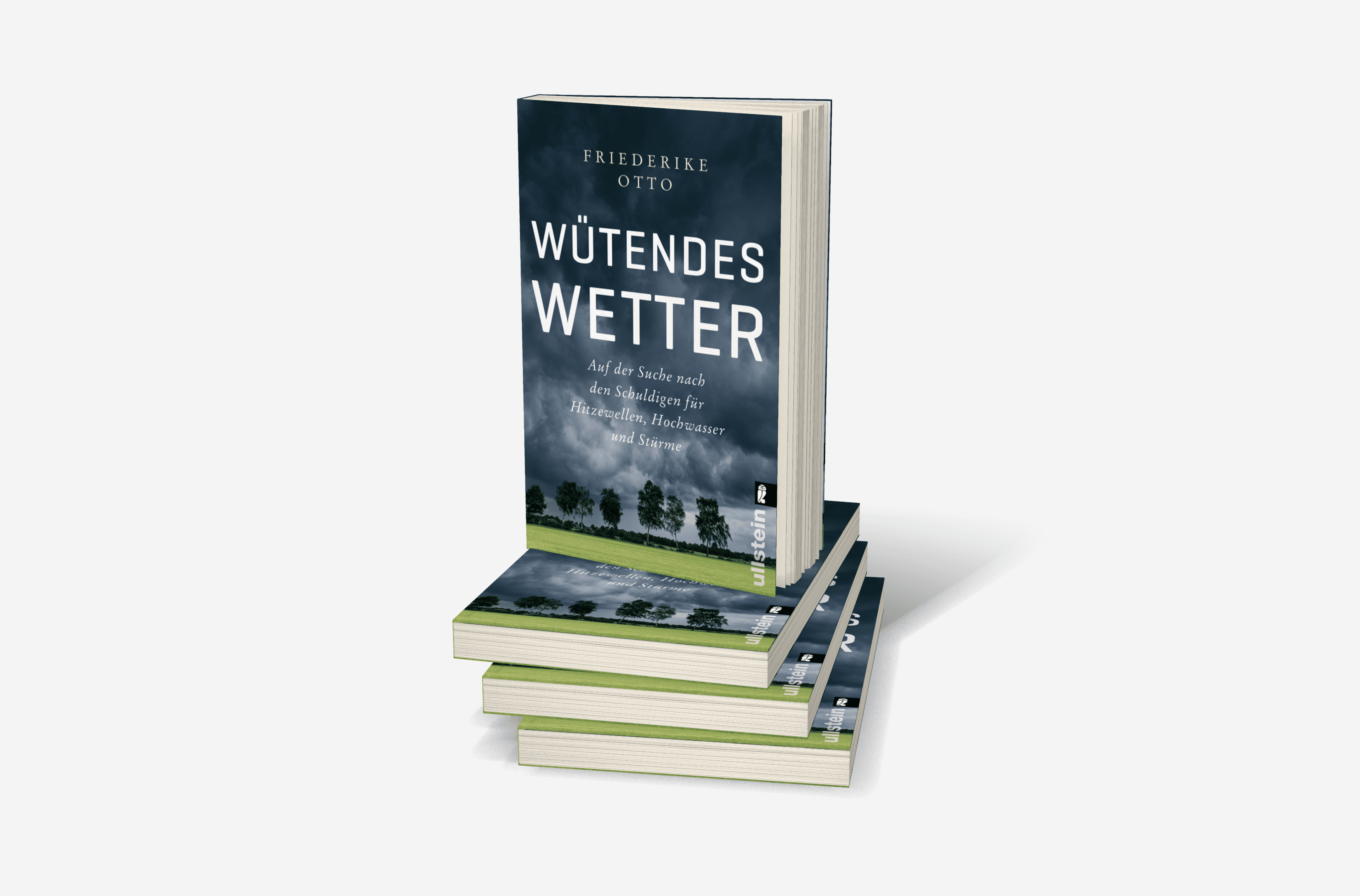 Buchcover von Wütendes Wetter