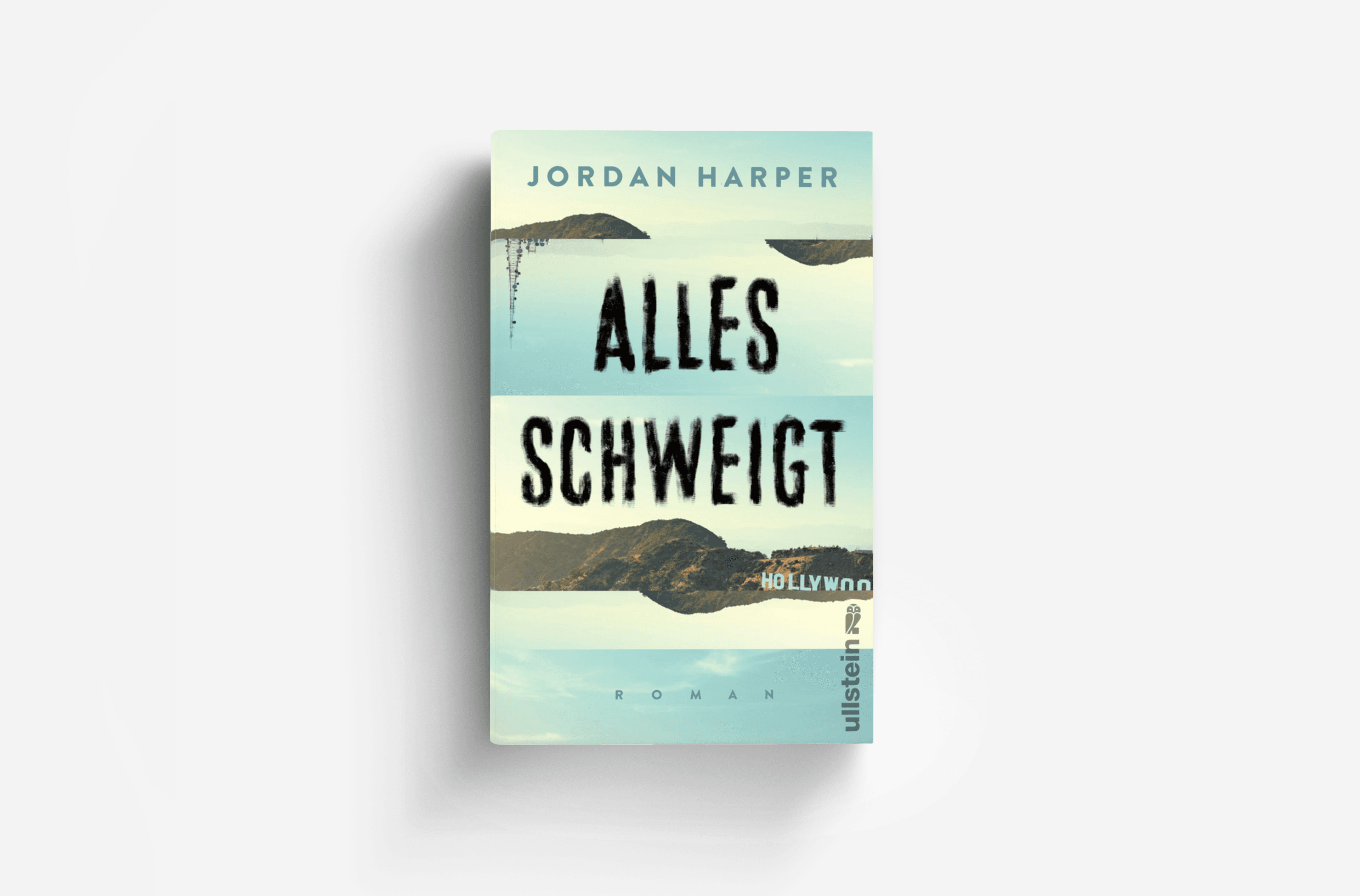 Buchcover von Alles schweigt