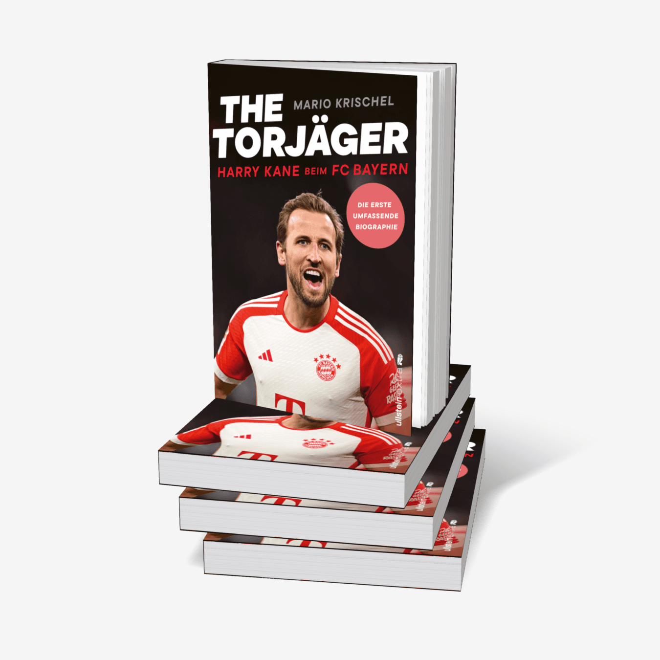 Buchcover von The Torjäger