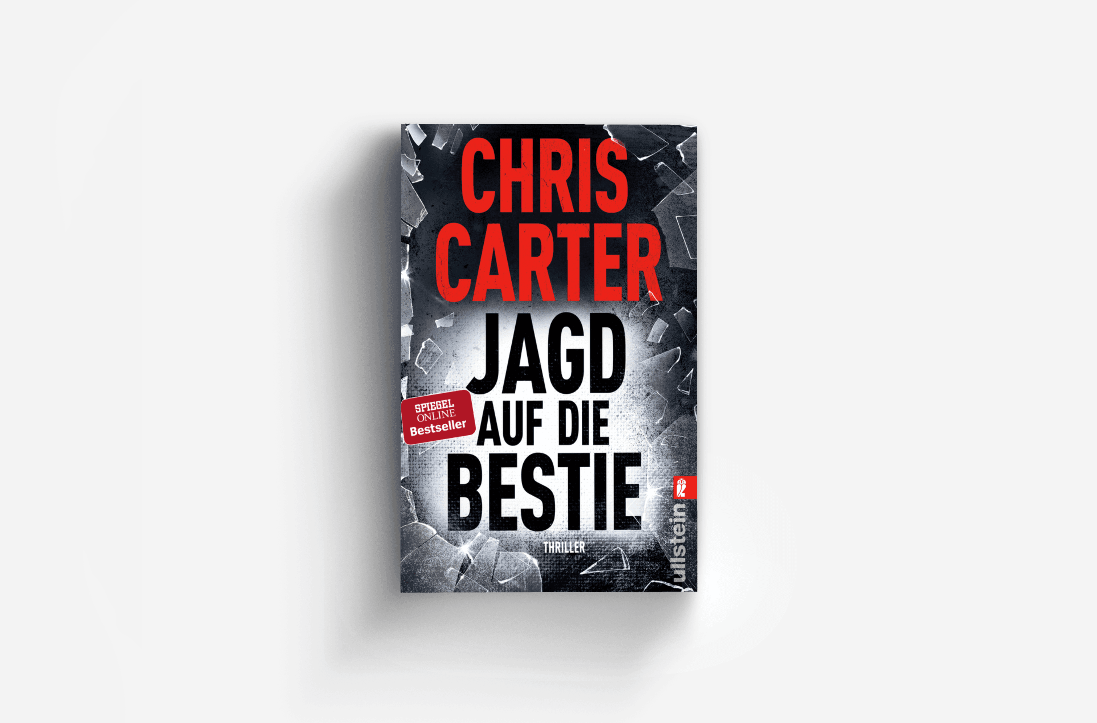 Buchcover von Jagd auf die Bestie (Ein Hunter-und-Garcia-Thriller 10)