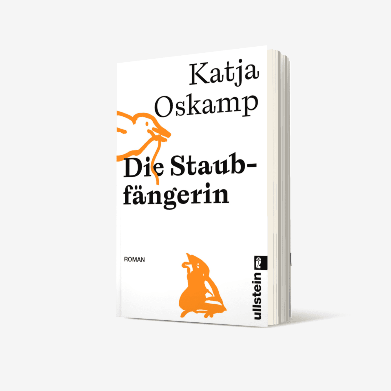 Buchcover von Die Staubfängerin