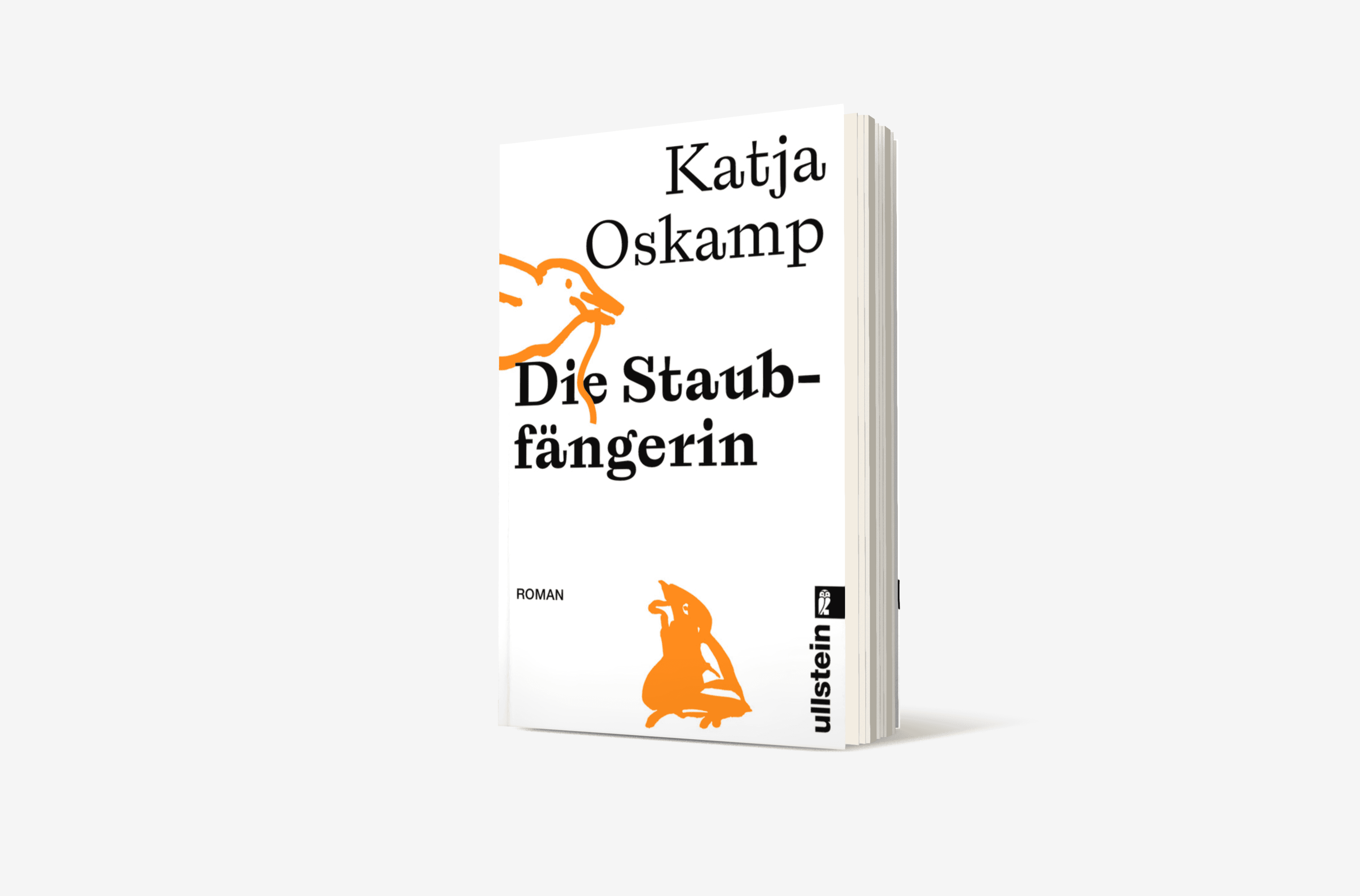 Buchcover von Die Staubfängerin