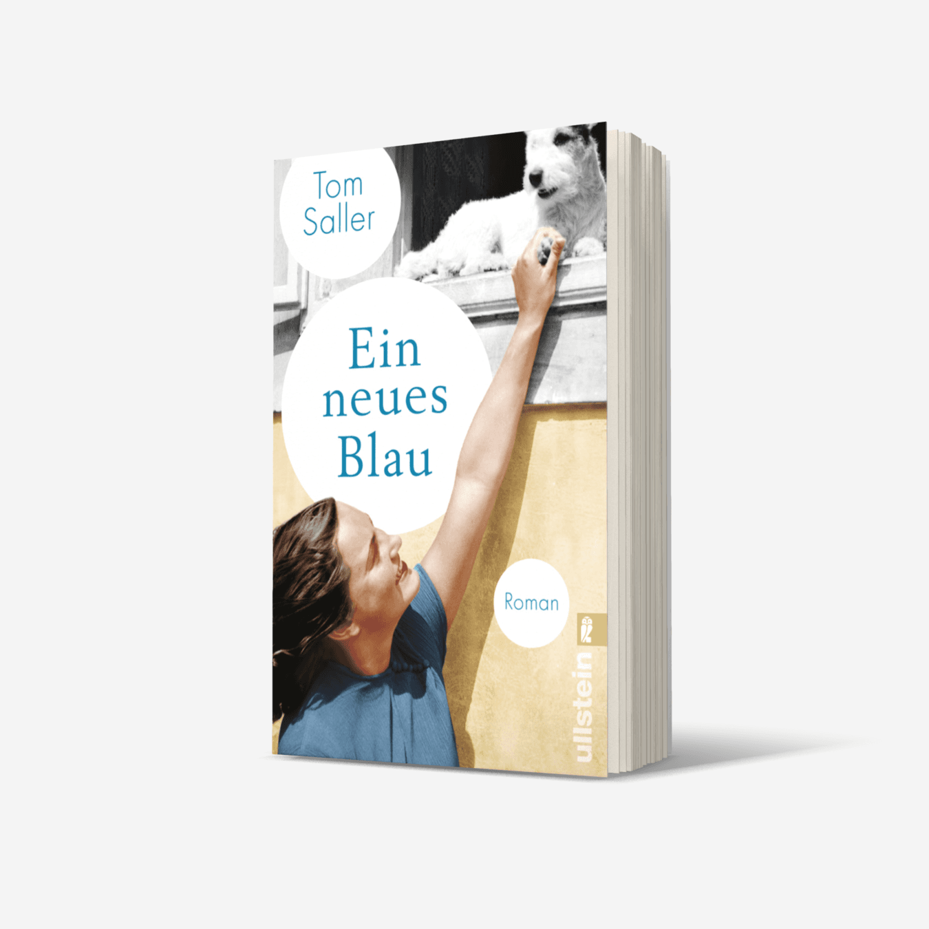 Buchcover von Ein neues Blau