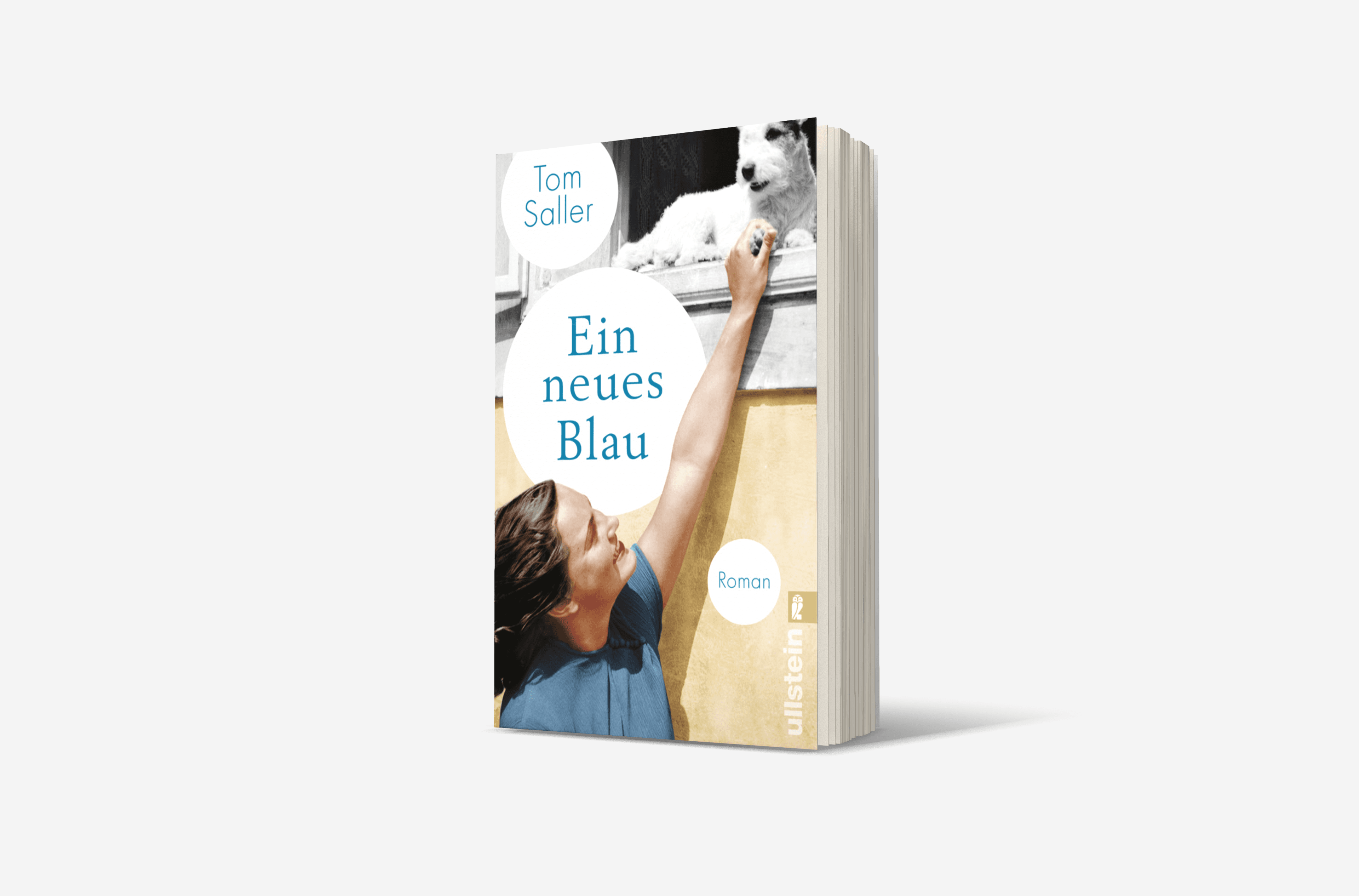 Buchcover von Ein neues Blau