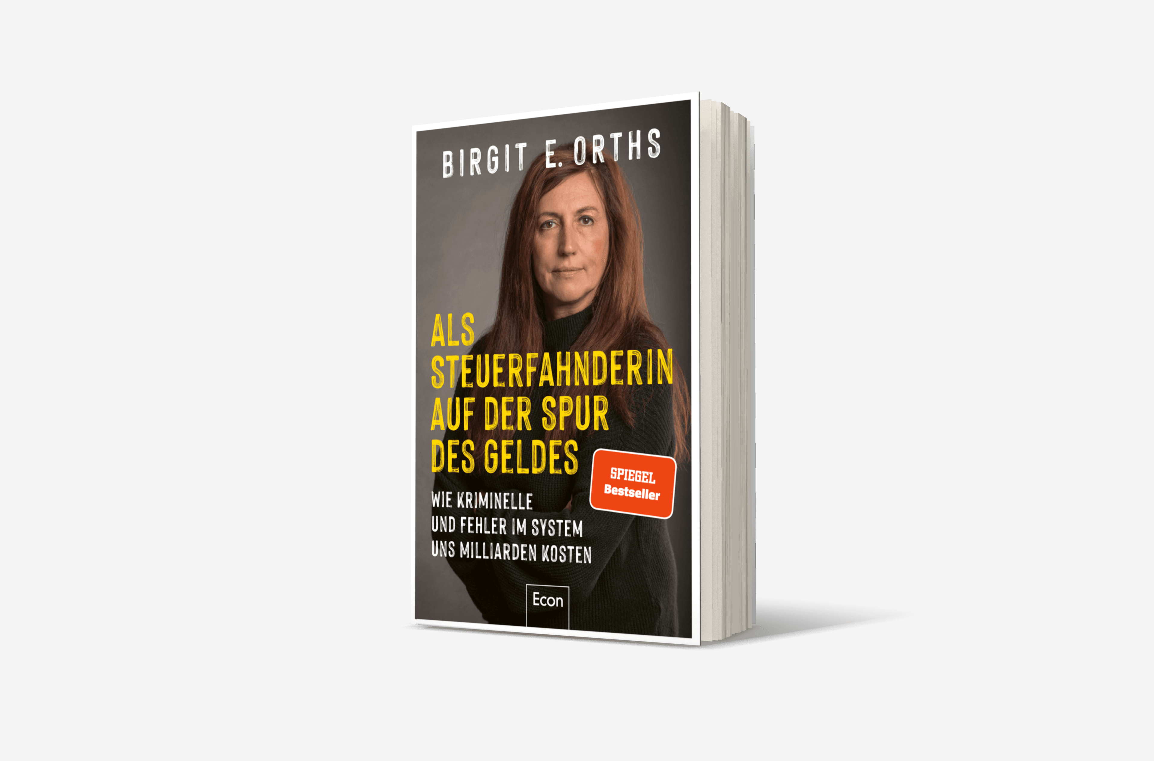 Buchcover von Als Steuerfahnderin auf der Spur des Geldes