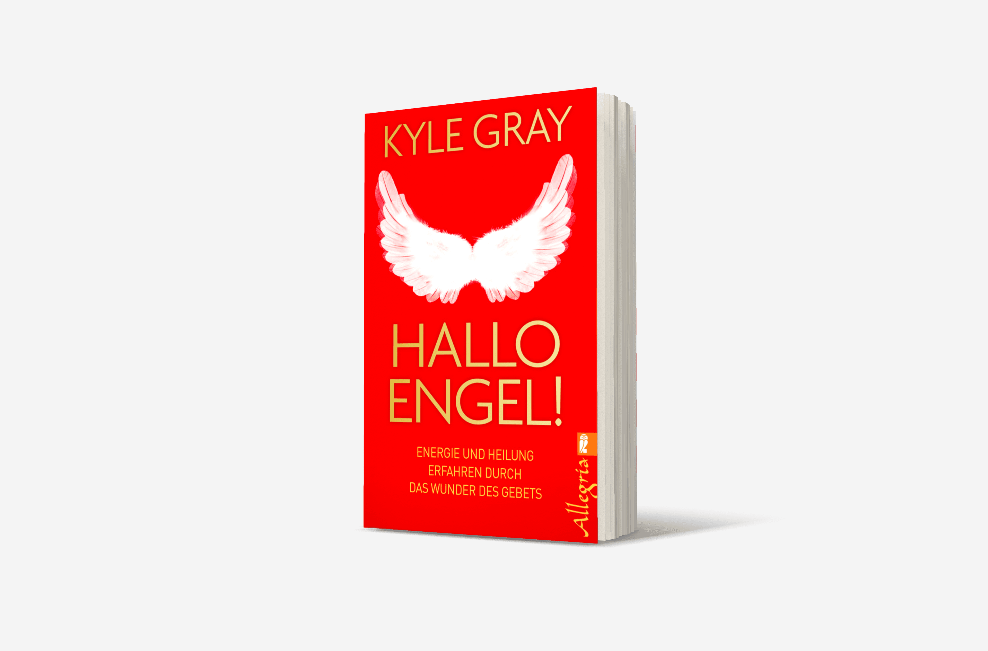 Buchcover von Hallo Engel!