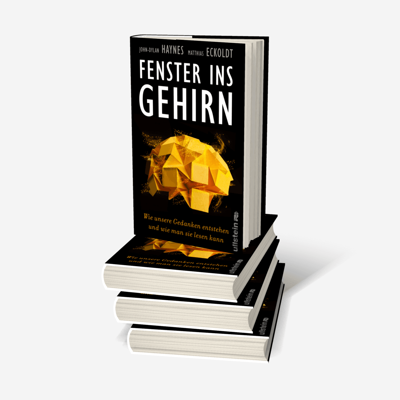 Buchcover von Fenster ins Gehirn