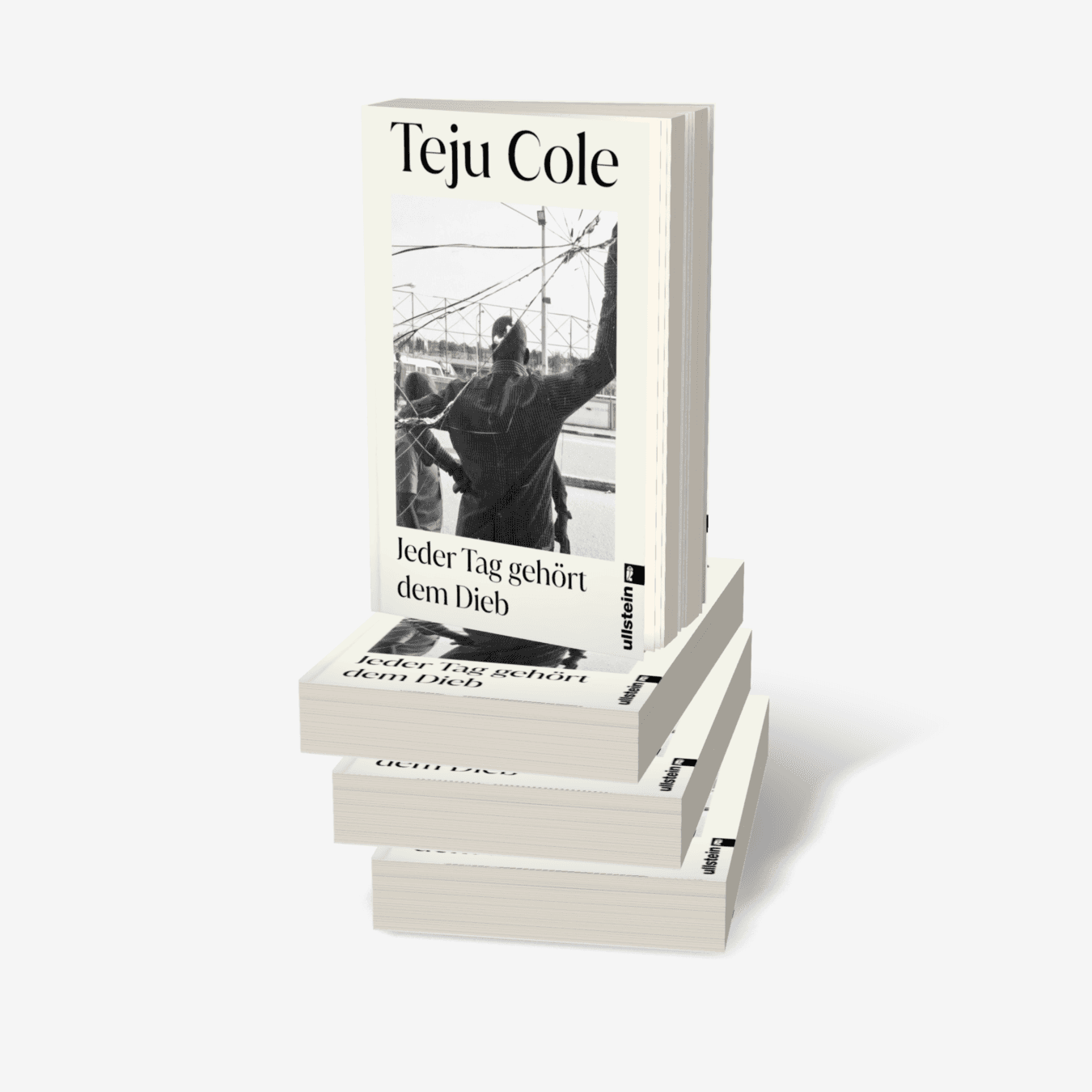 Buchcover von Jeder Tag gehört dem Dieb