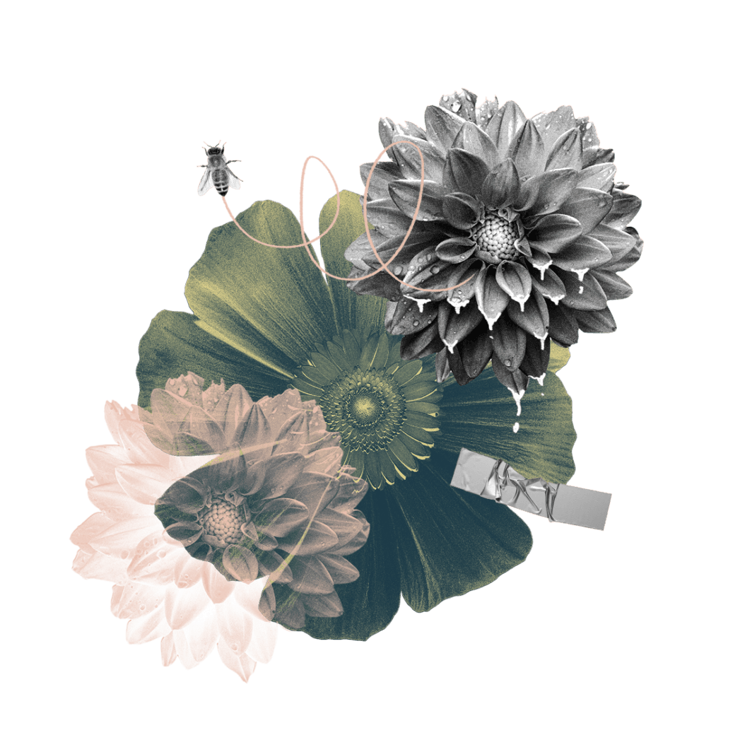 Blumen, Biene und Kleeblatt - Illustration